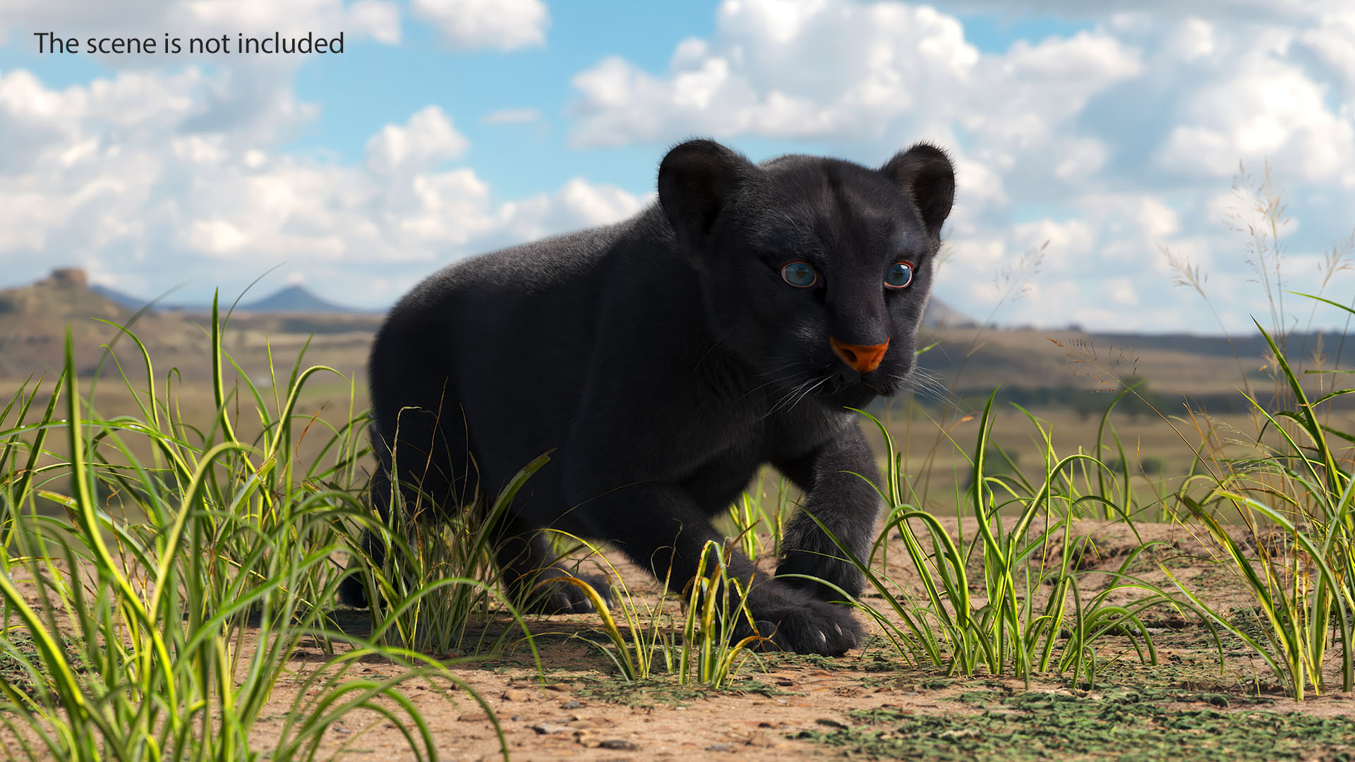 3D model Black Panther Cub Sneaking Pose with Fur