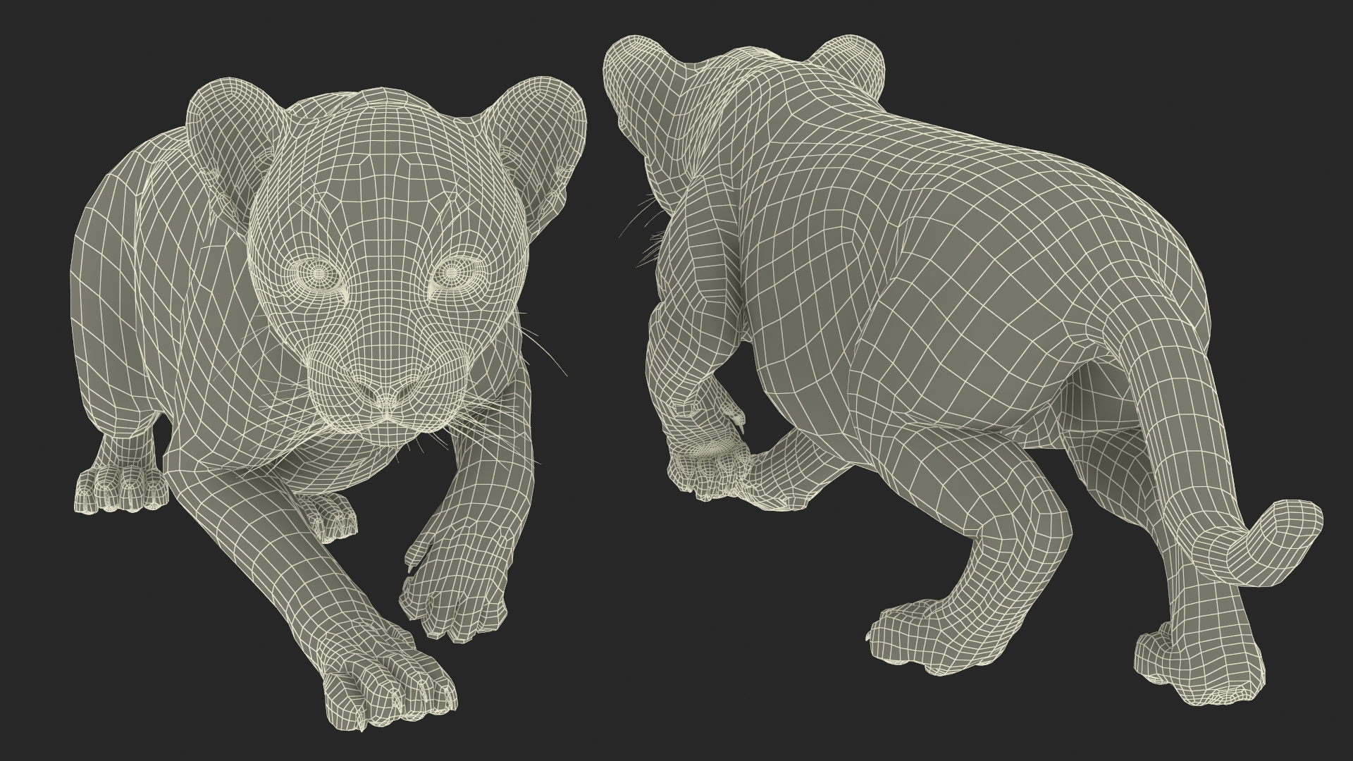 3D model Black Panther Cub Sneaking Pose with Fur