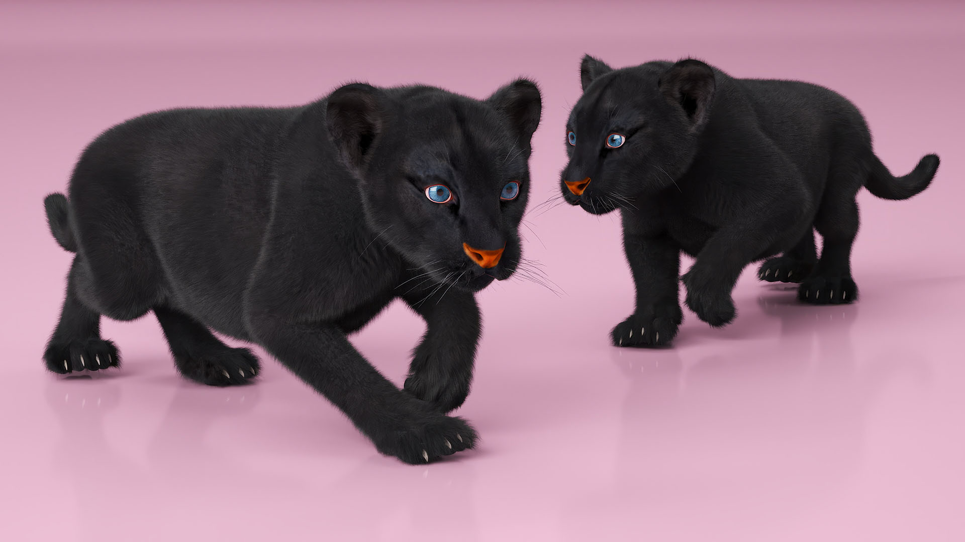 3D model Black Panther Cub Sneaking Pose with Fur