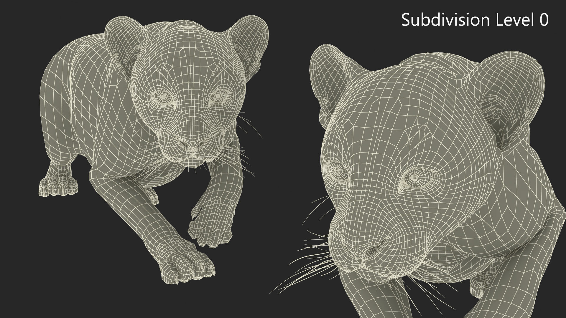 3D model Black Panther Cub Sneaking Pose with Fur