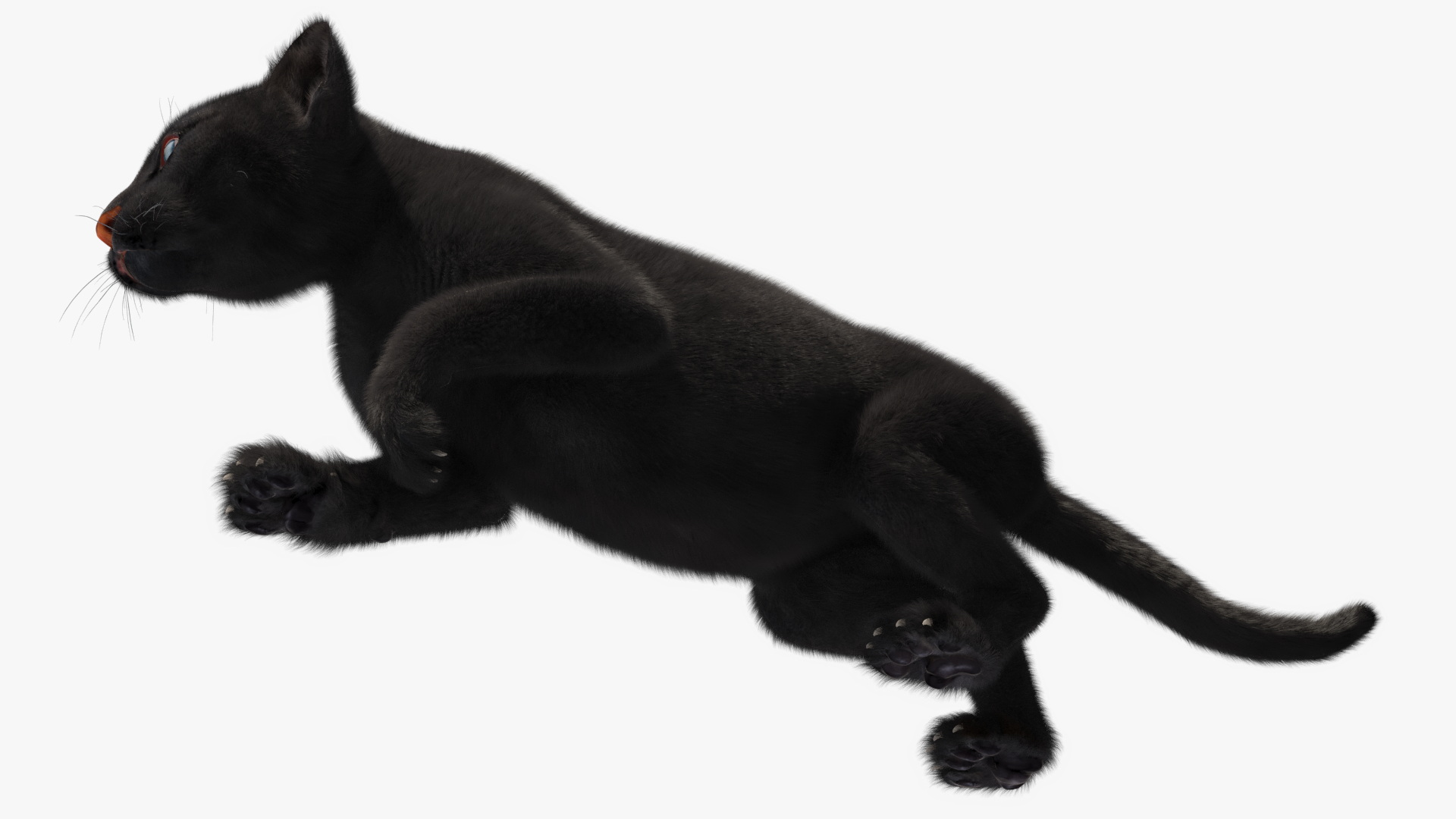 3D model Black Panther Cub Sneaking Pose with Fur