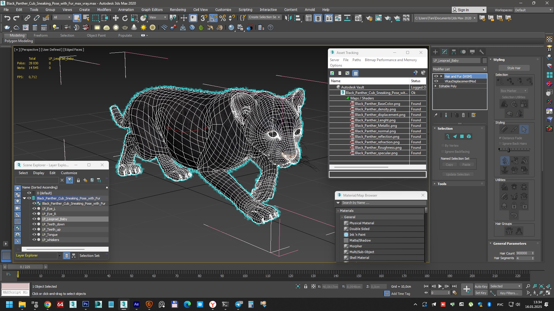 3D model Black Panther Cub Sneaking Pose with Fur