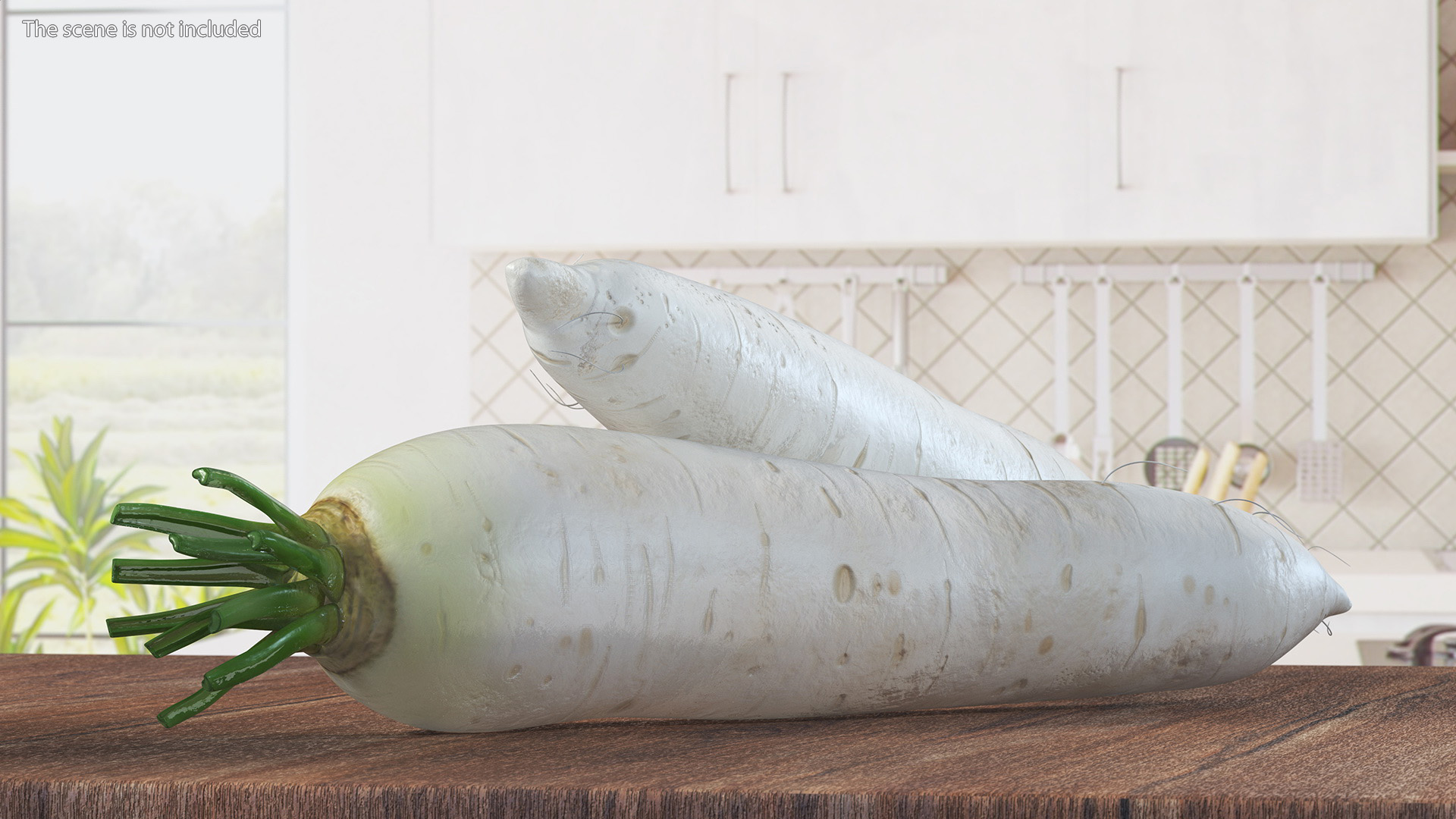 Daikon Long White Radish 3D model