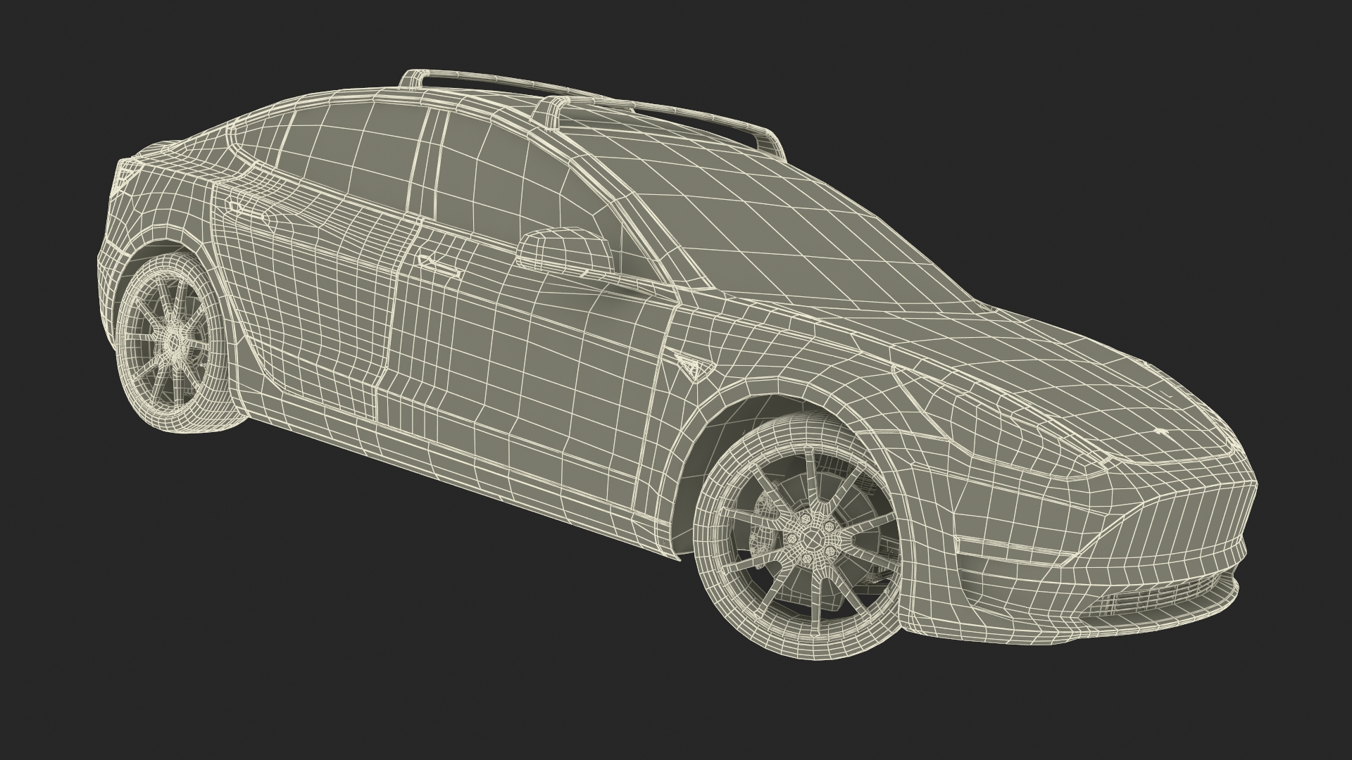 Tesla with Roof Rack Rigged 3D