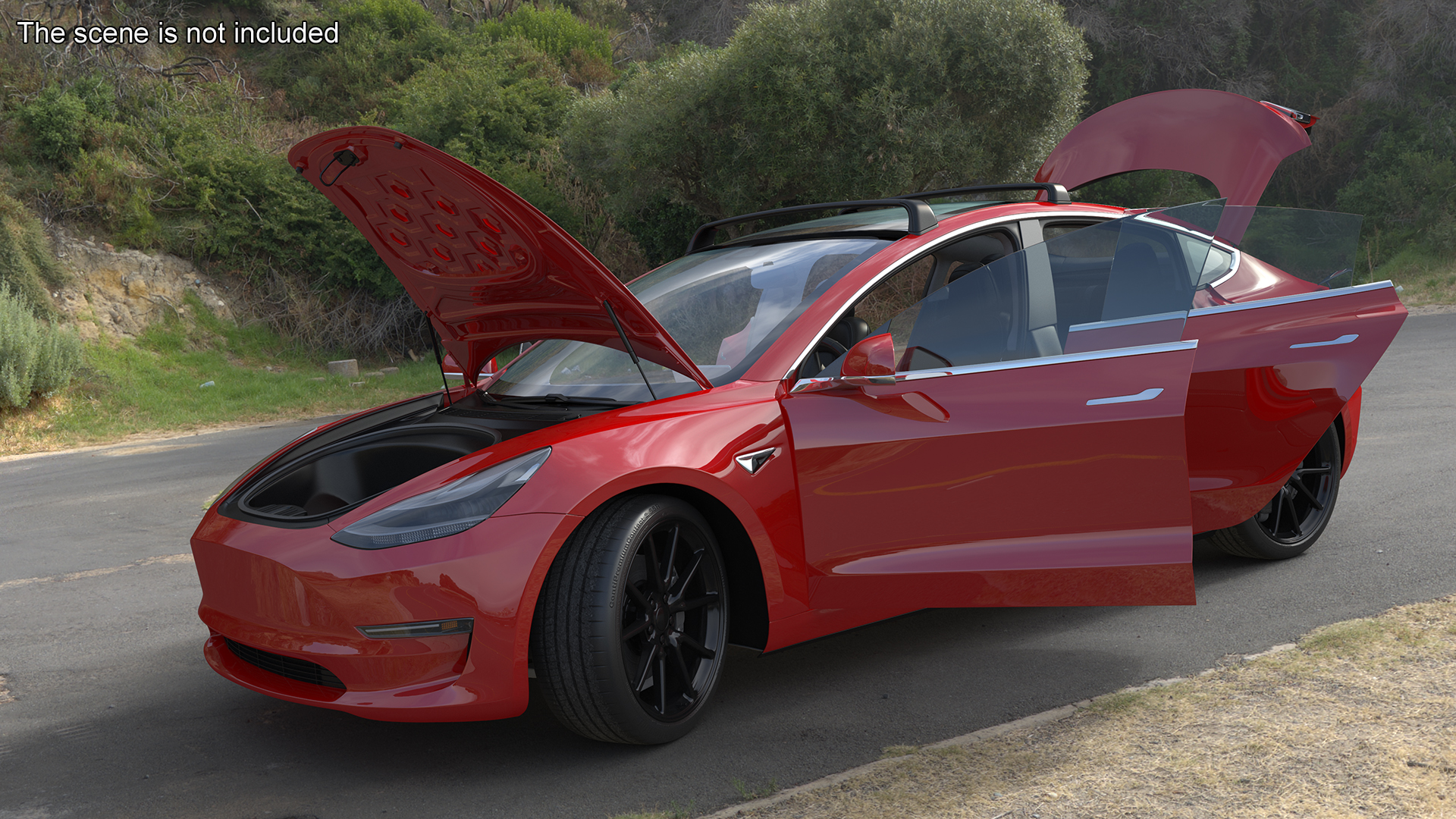 Tesla with Roof Rack Rigged 3D