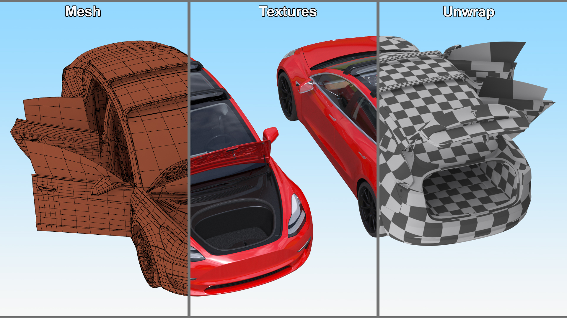 Tesla with Roof Rack Rigged 3D