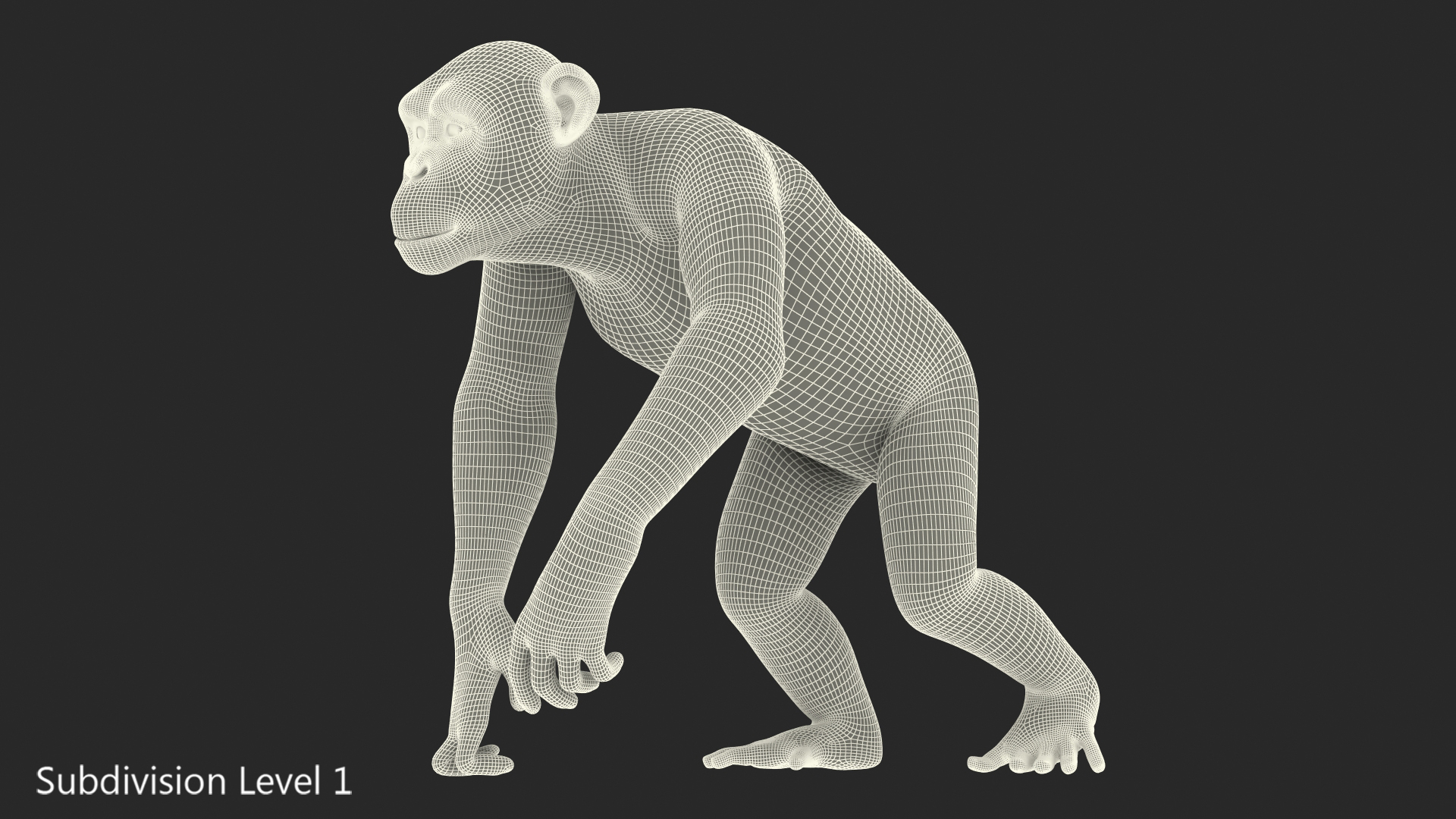 3D Walking Dark Chimpanzee model