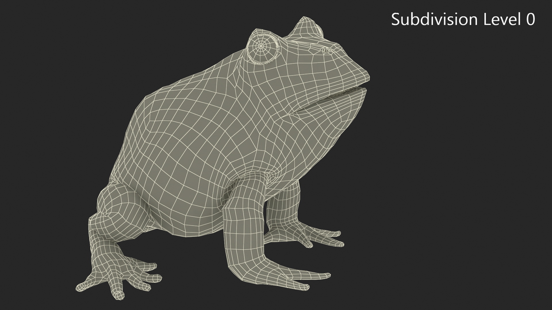 3D Ceratophrys Ornata Frog model