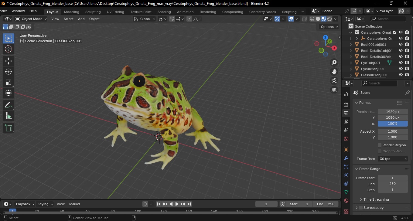 3D Ceratophrys Ornata Frog model