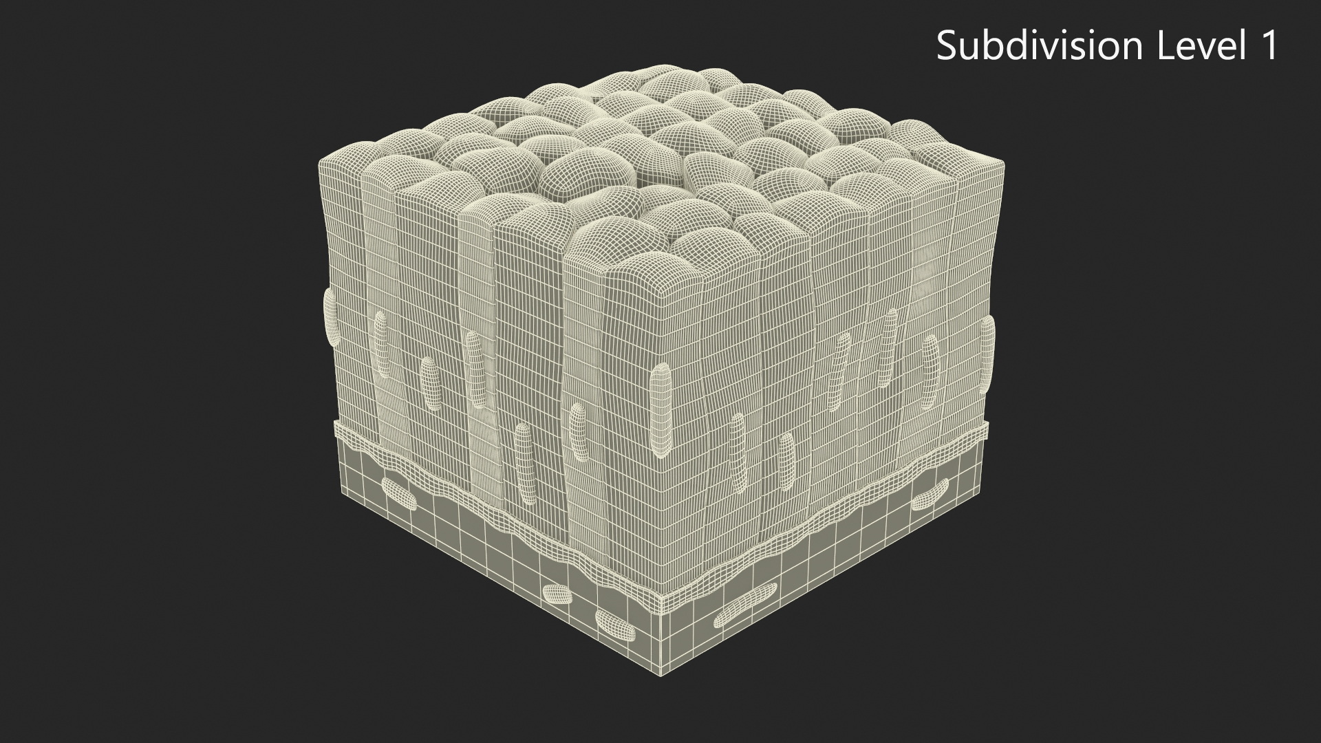 Columnar Epithelium 3D model