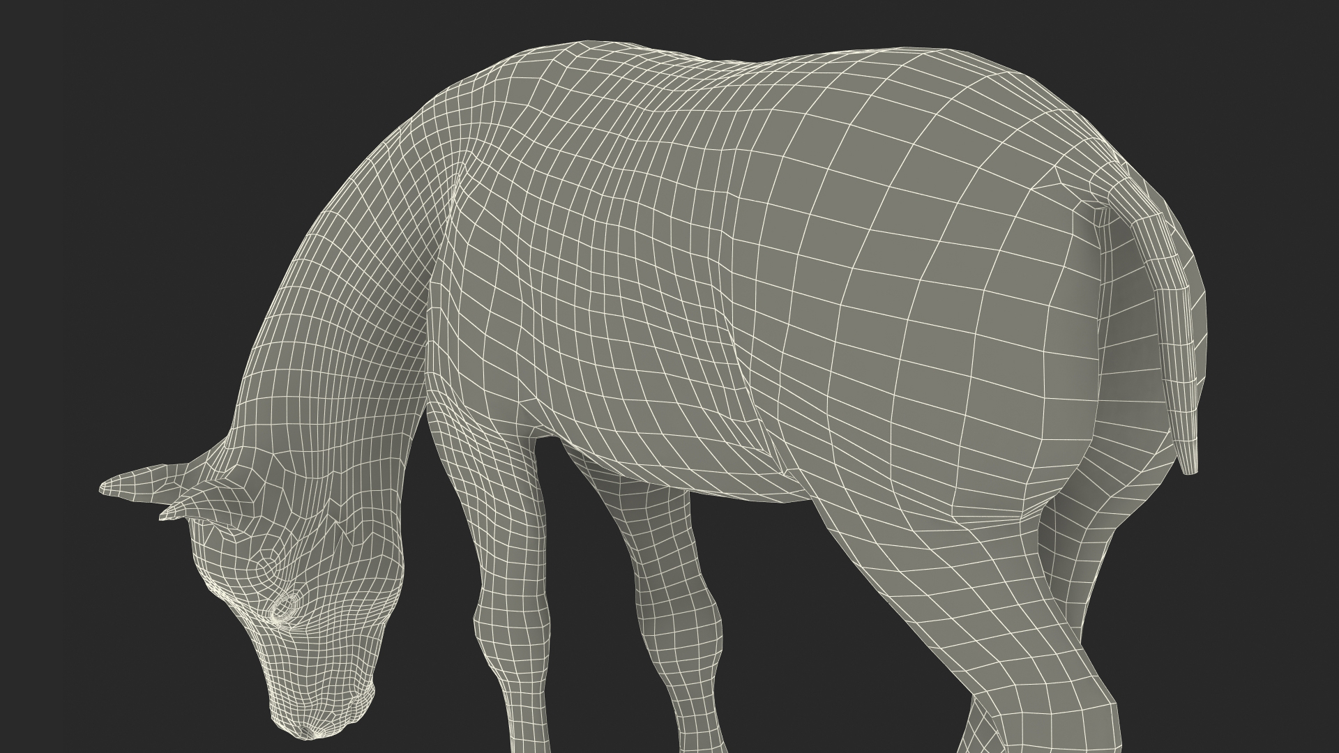 White Pony with Long Mane Grazing Fur 3D