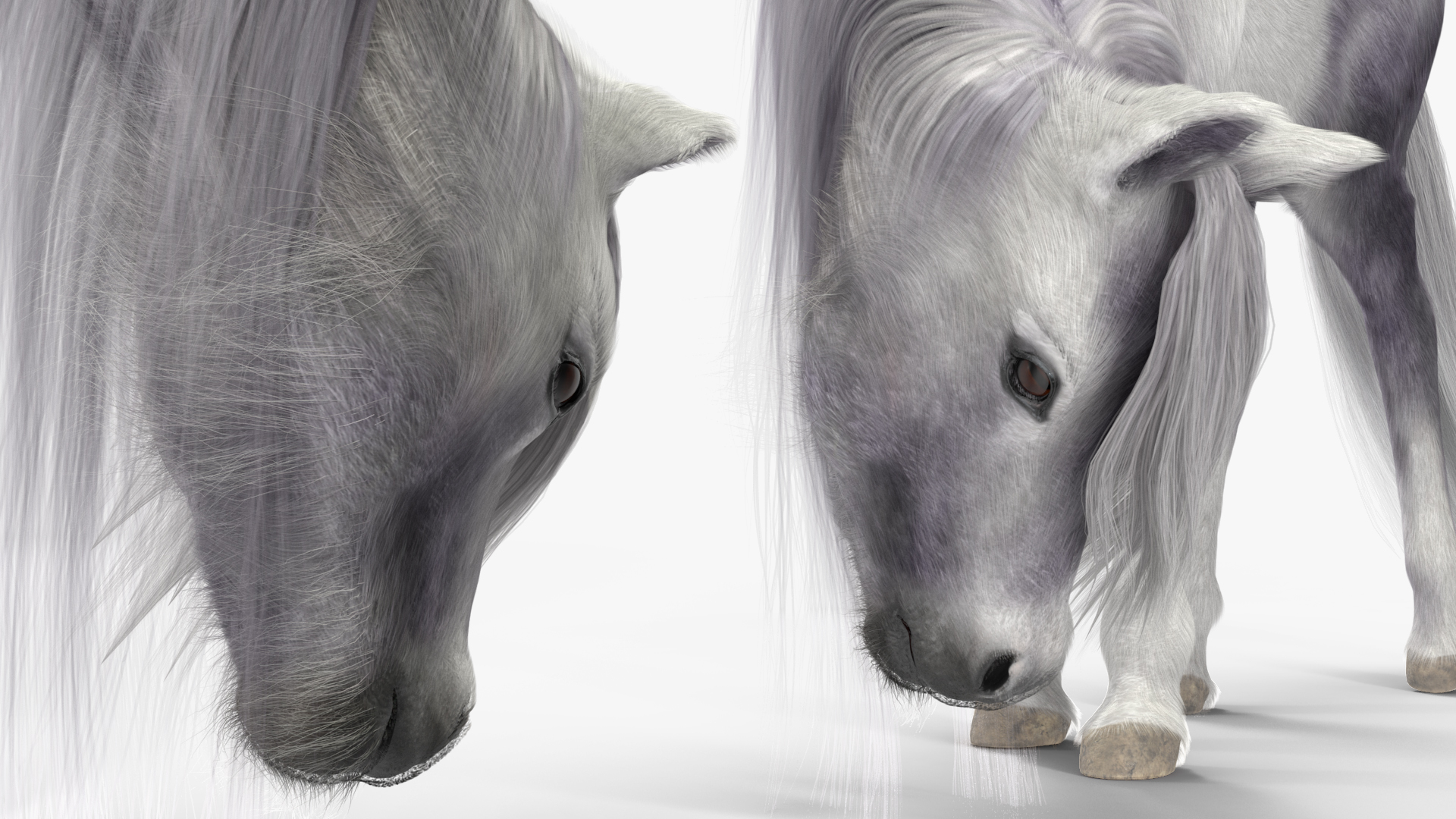 White Pony with Long Mane Grazing Fur 3D