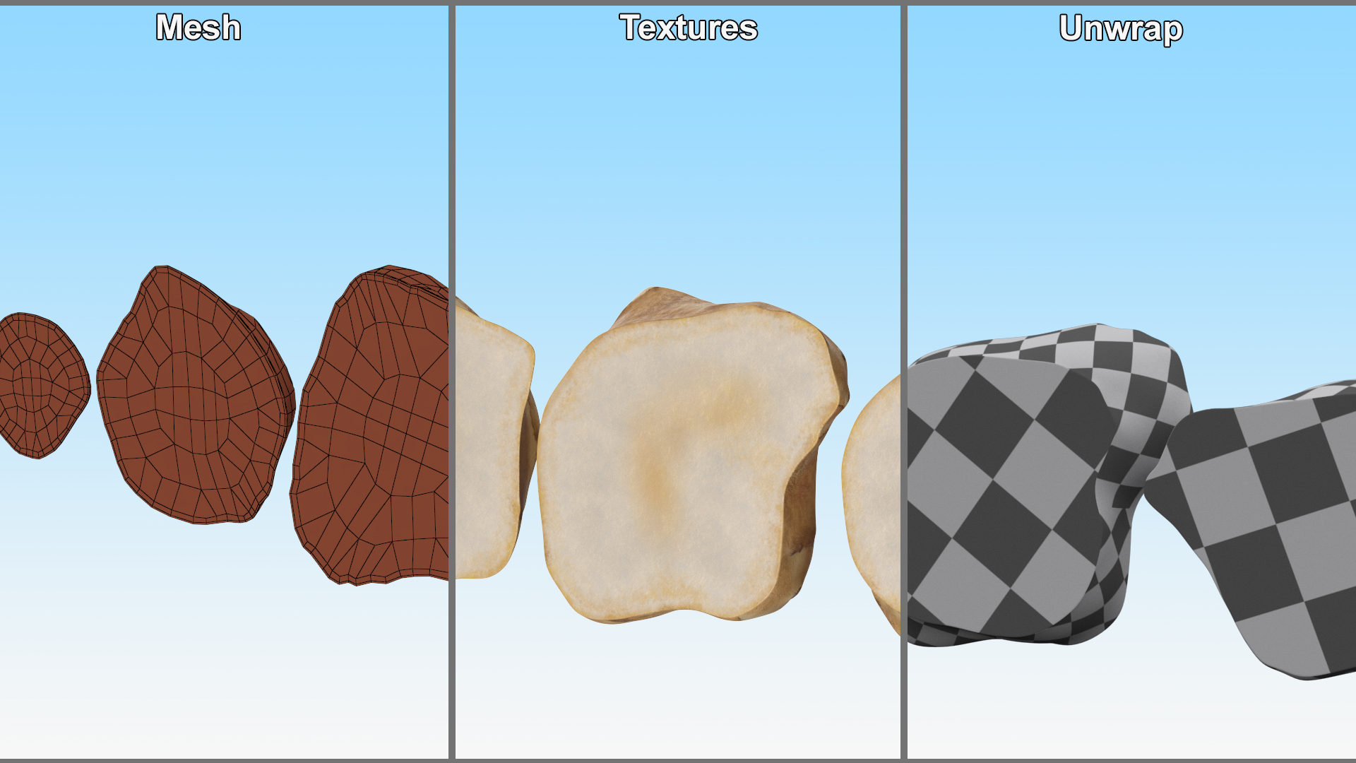 3D Sunroot Cut in Slices