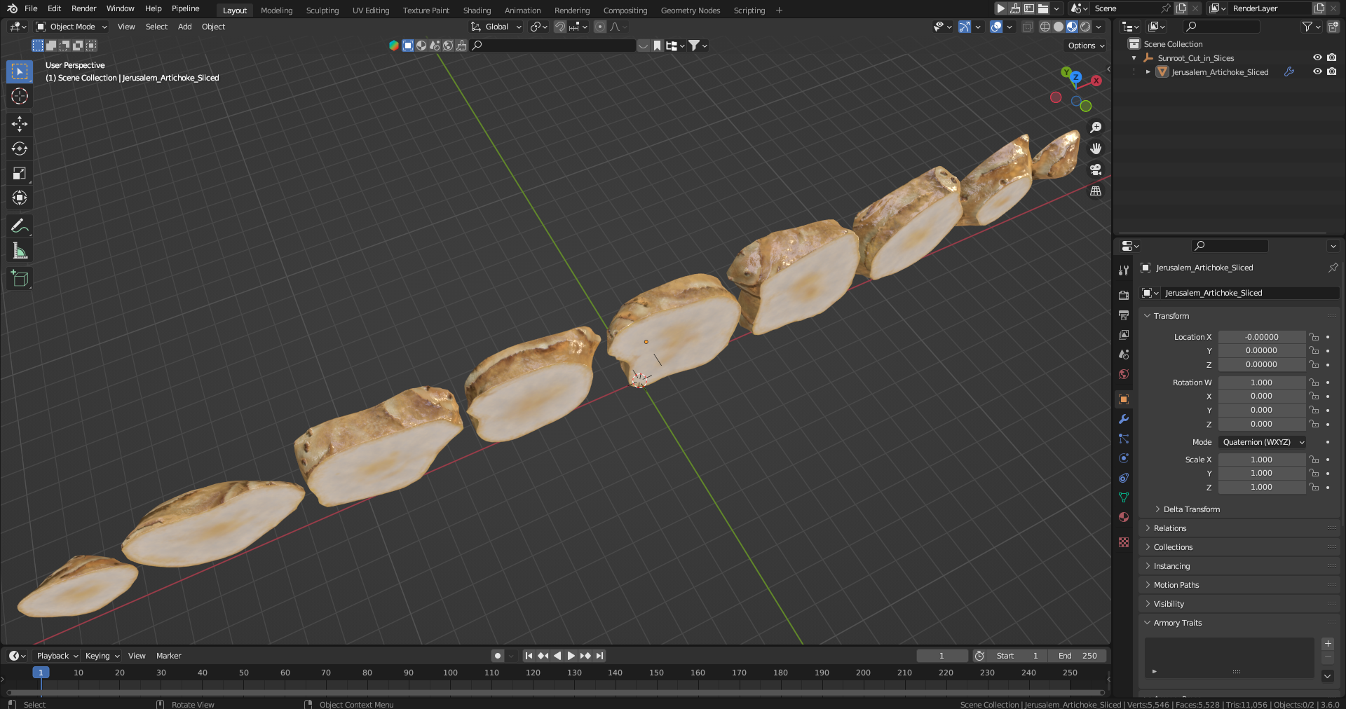 3D Sunroot Cut in Slices