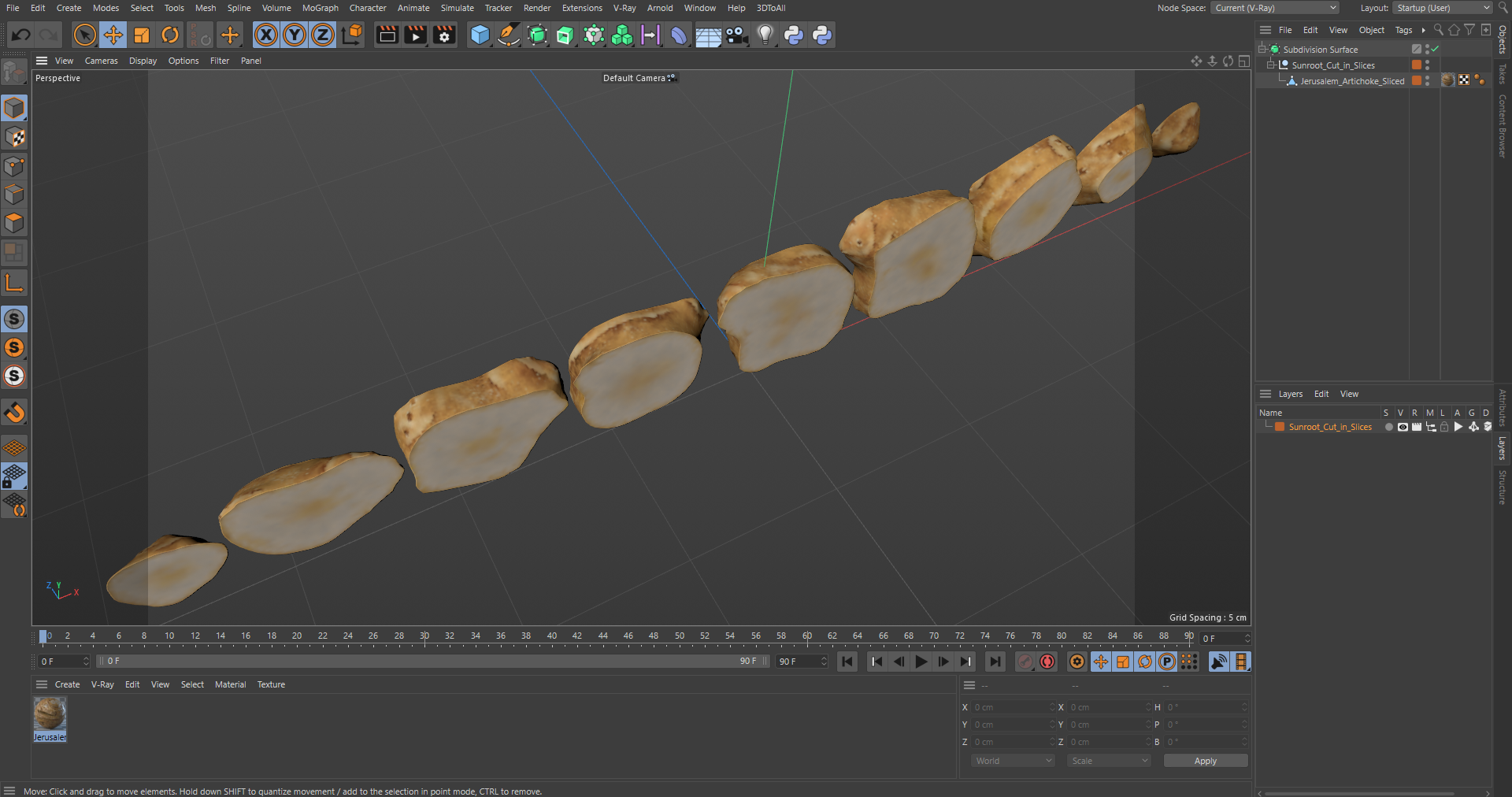 3D Sunroot Cut in Slices