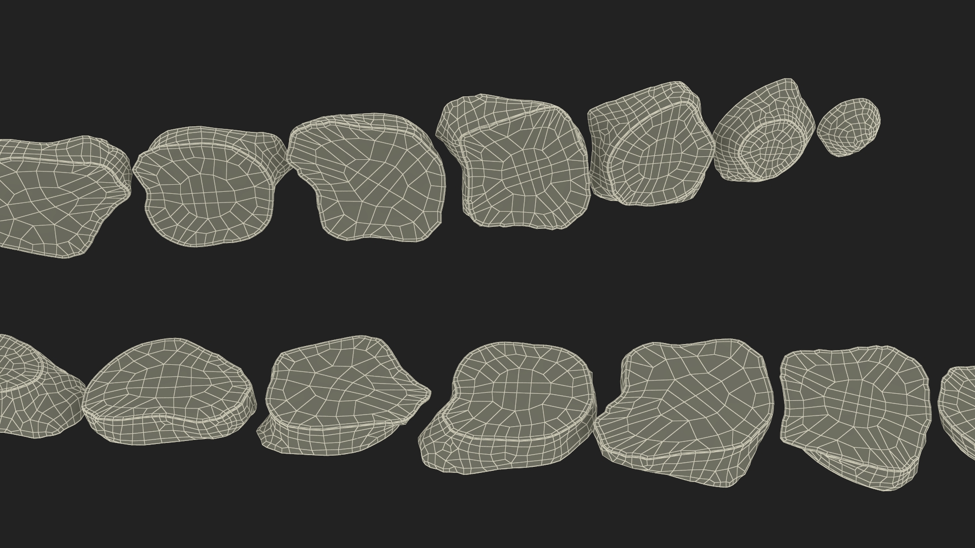 3D Sunroot Cut in Slices