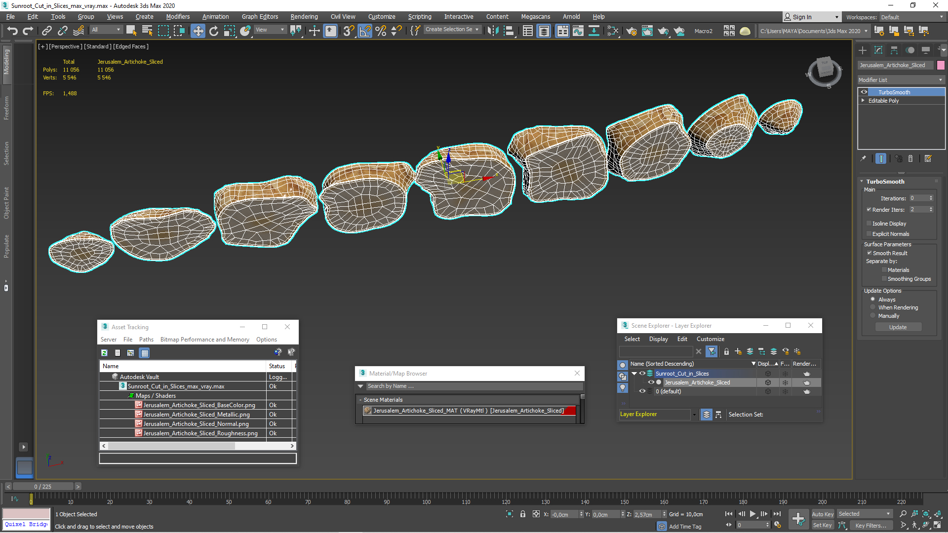 3D Sunroot Cut in Slices