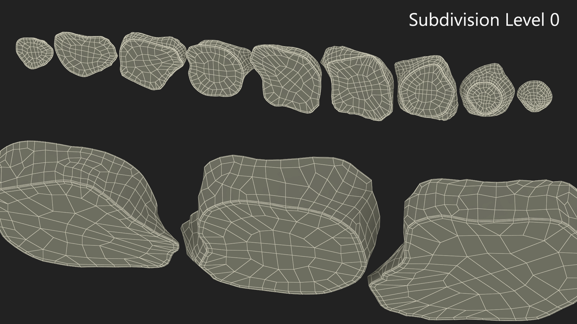 3D Sunroot Cut in Slices