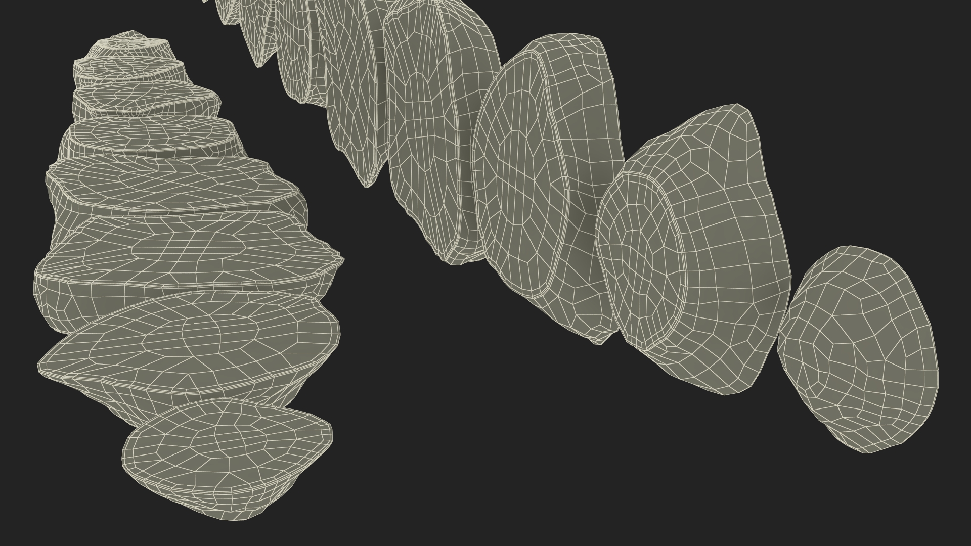 3D Sunroot Cut in Slices