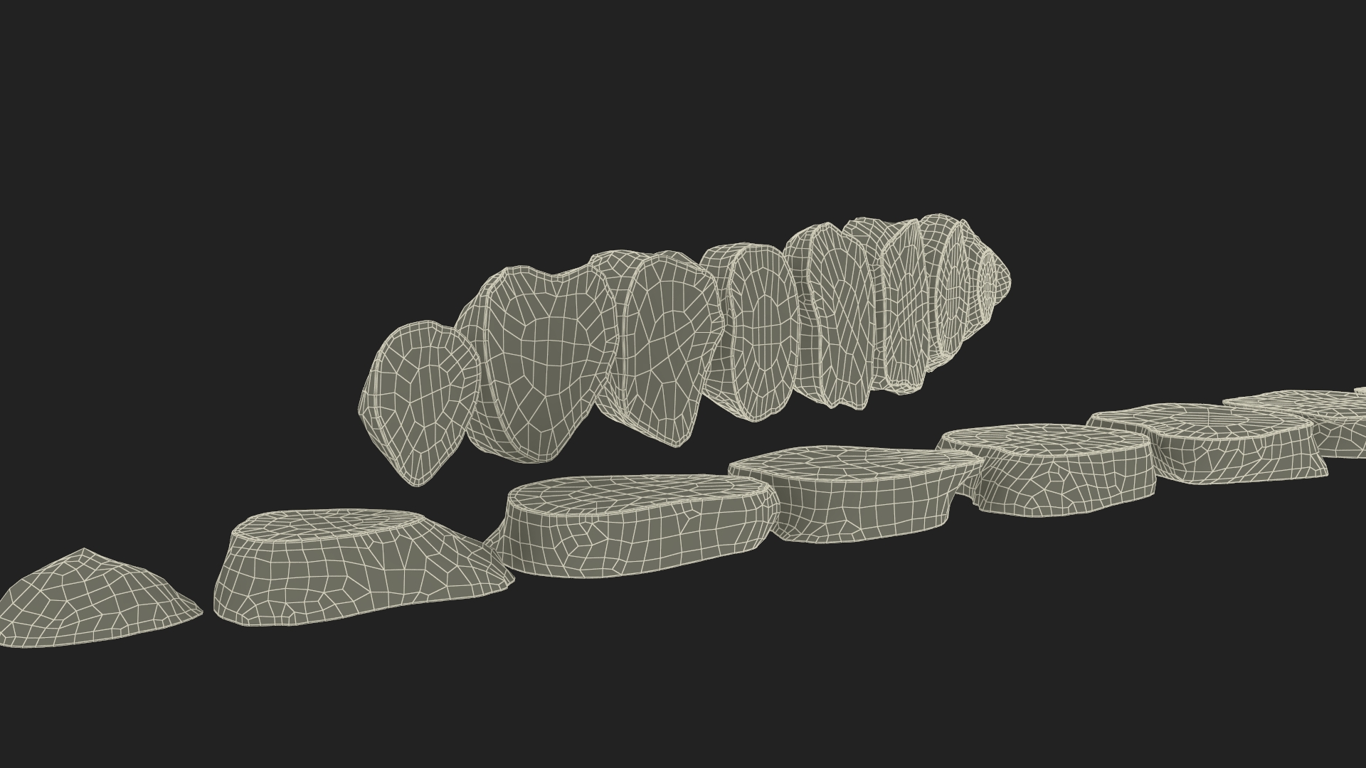 3D Sunroot Cut in Slices