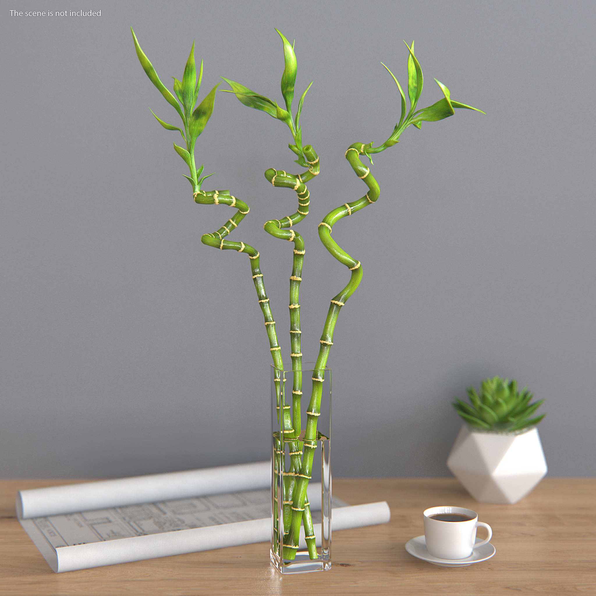 3D model Lucky Bamboo Bouquet