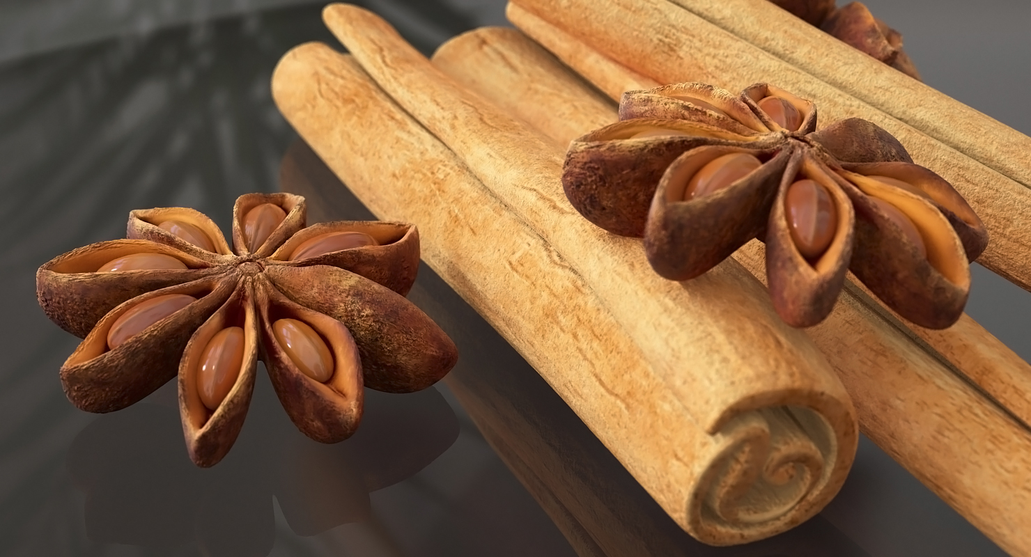 3D model Star Anise