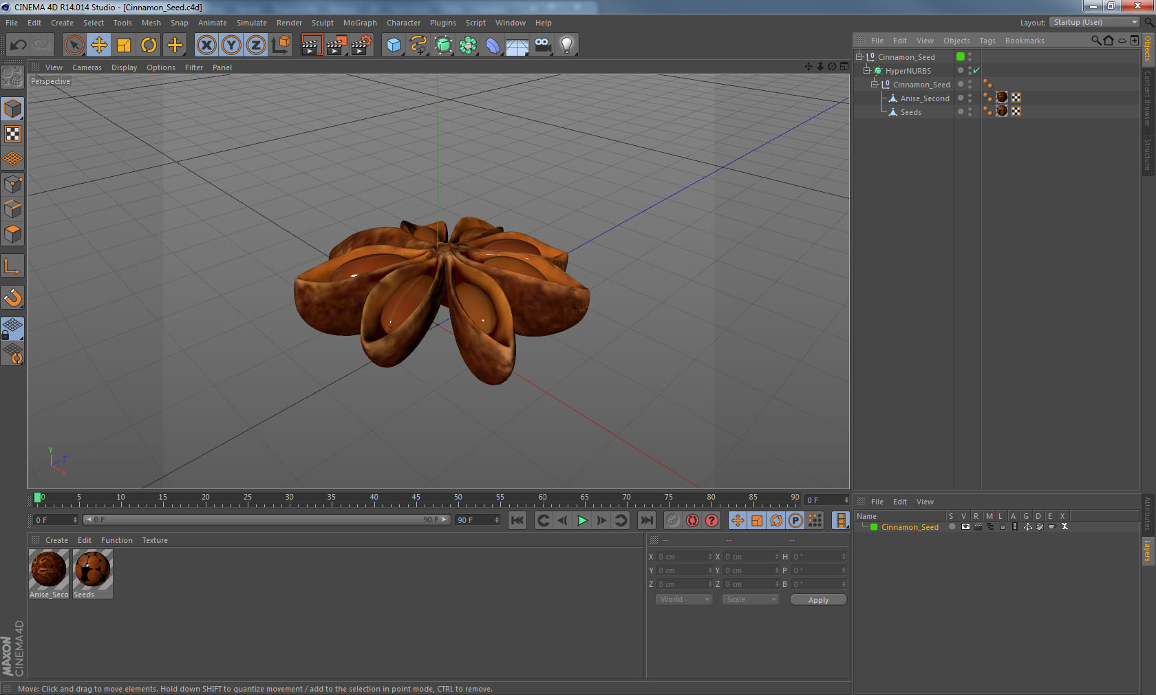 3D model Star Anise