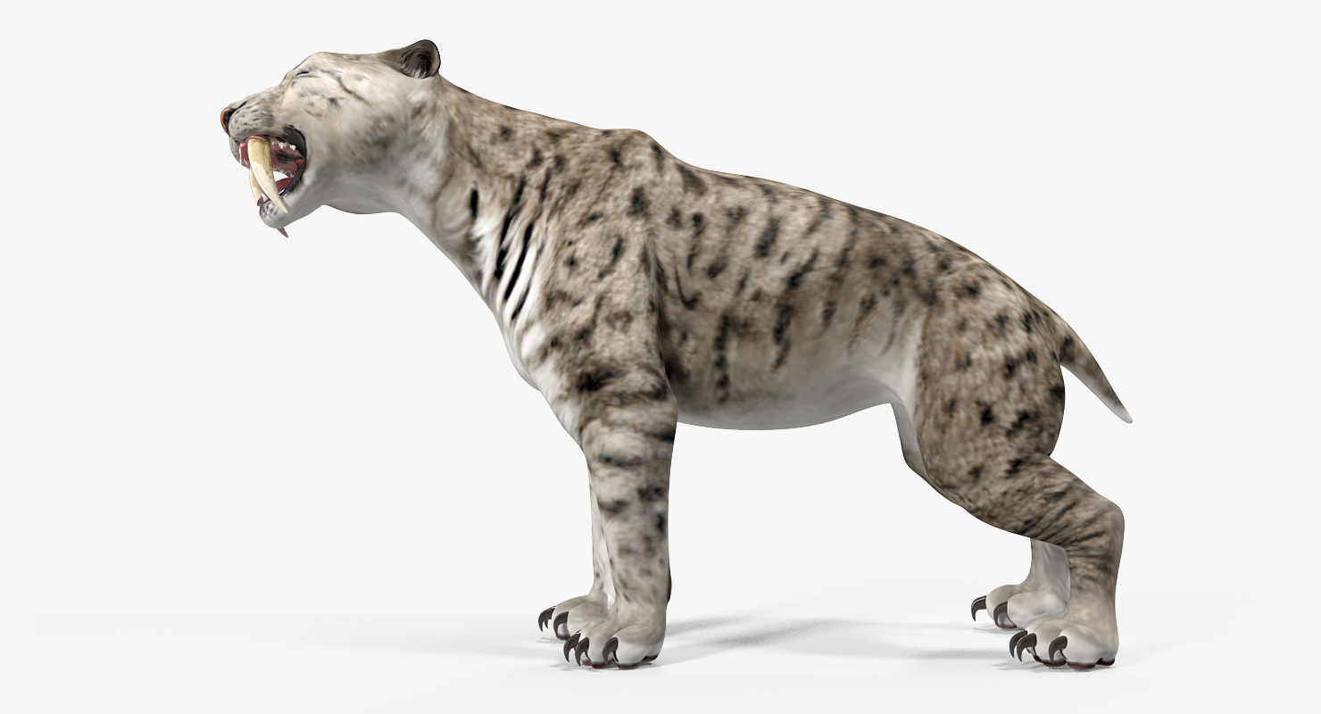 Arctic Saber Tooth Cat Growls Pose 3D model