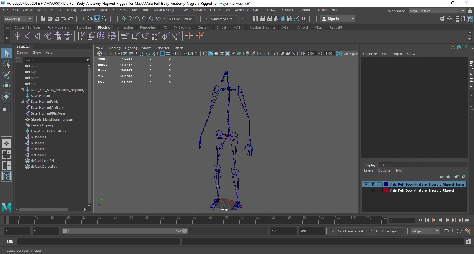 3D Male Full Body Anatomy Negroid Rigged for Maya