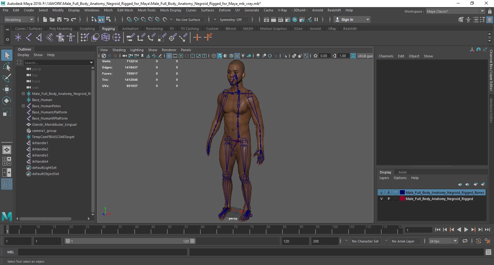 3D Male Full Body Anatomy Negroid Rigged for Maya