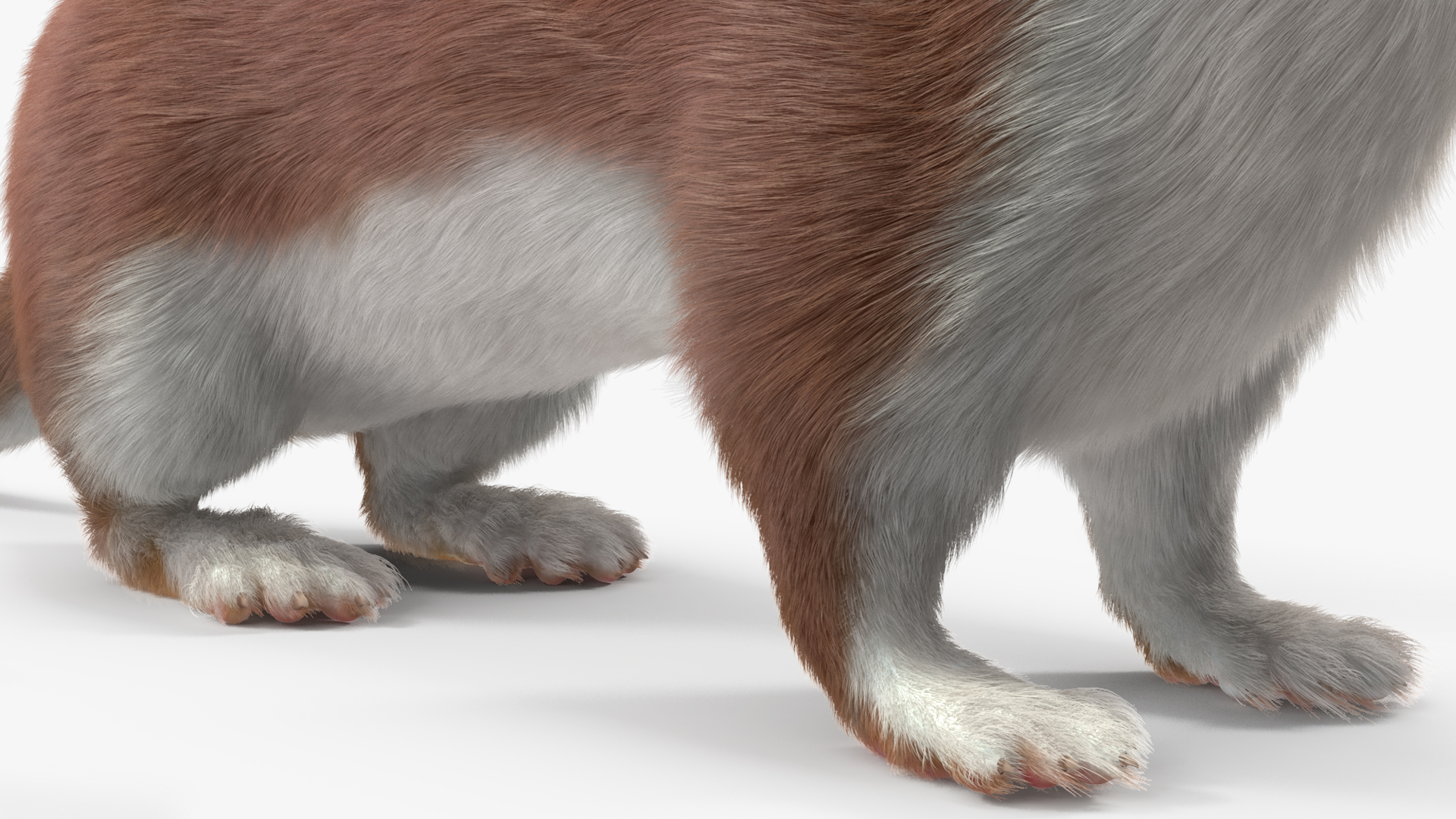 3D model Stoat Brown Fur