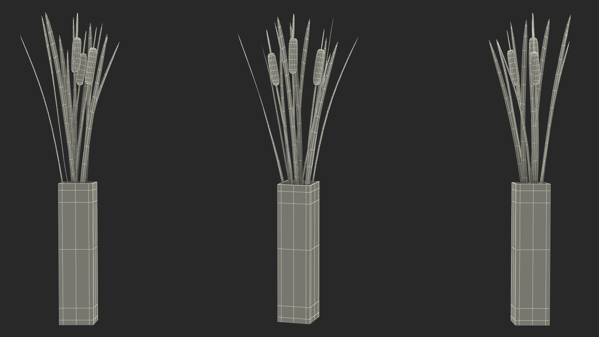 3D Cattail in Glass Vase