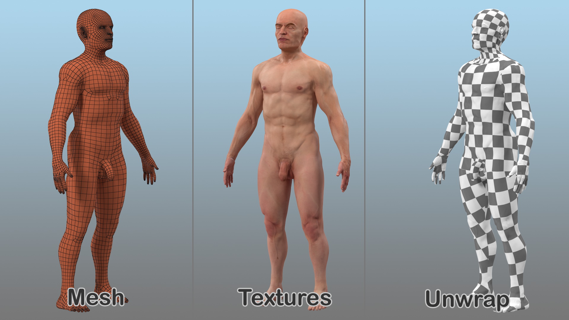 Male Full Body Nude 3D model