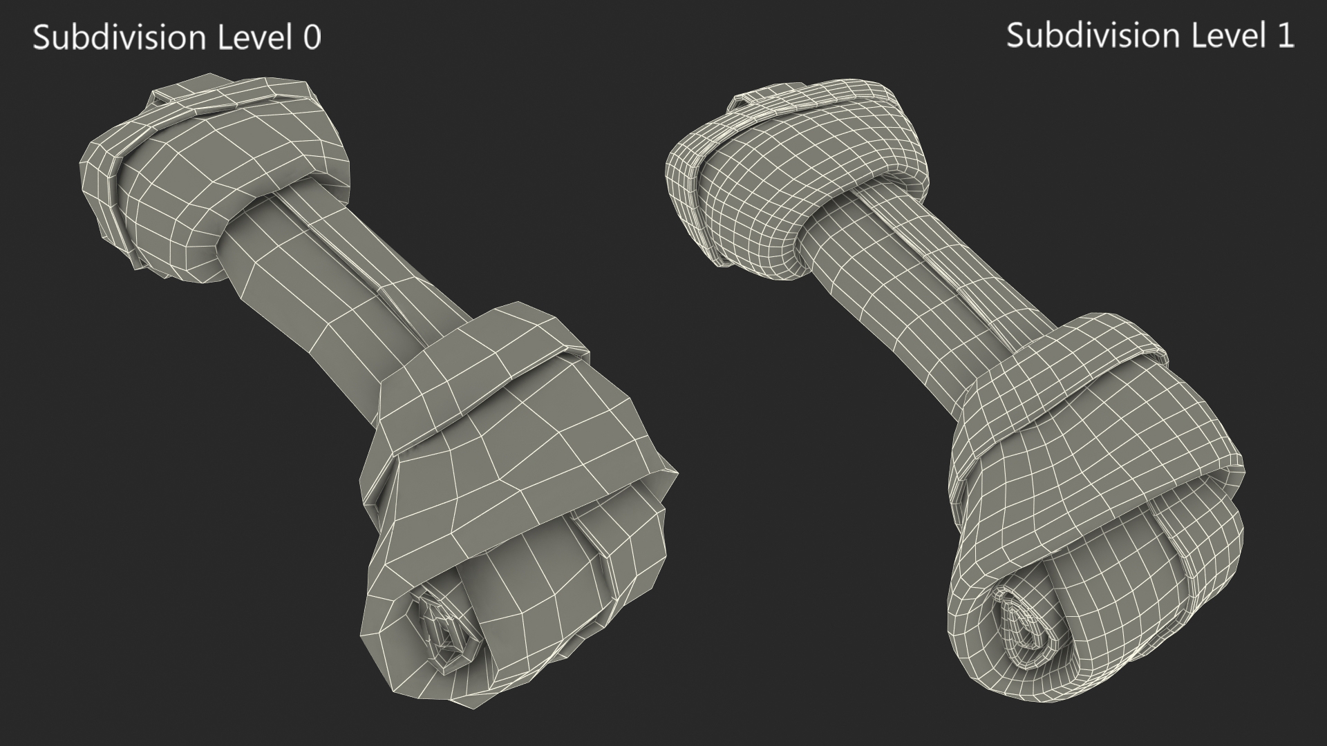 3D Beef Dog Chew Bone model