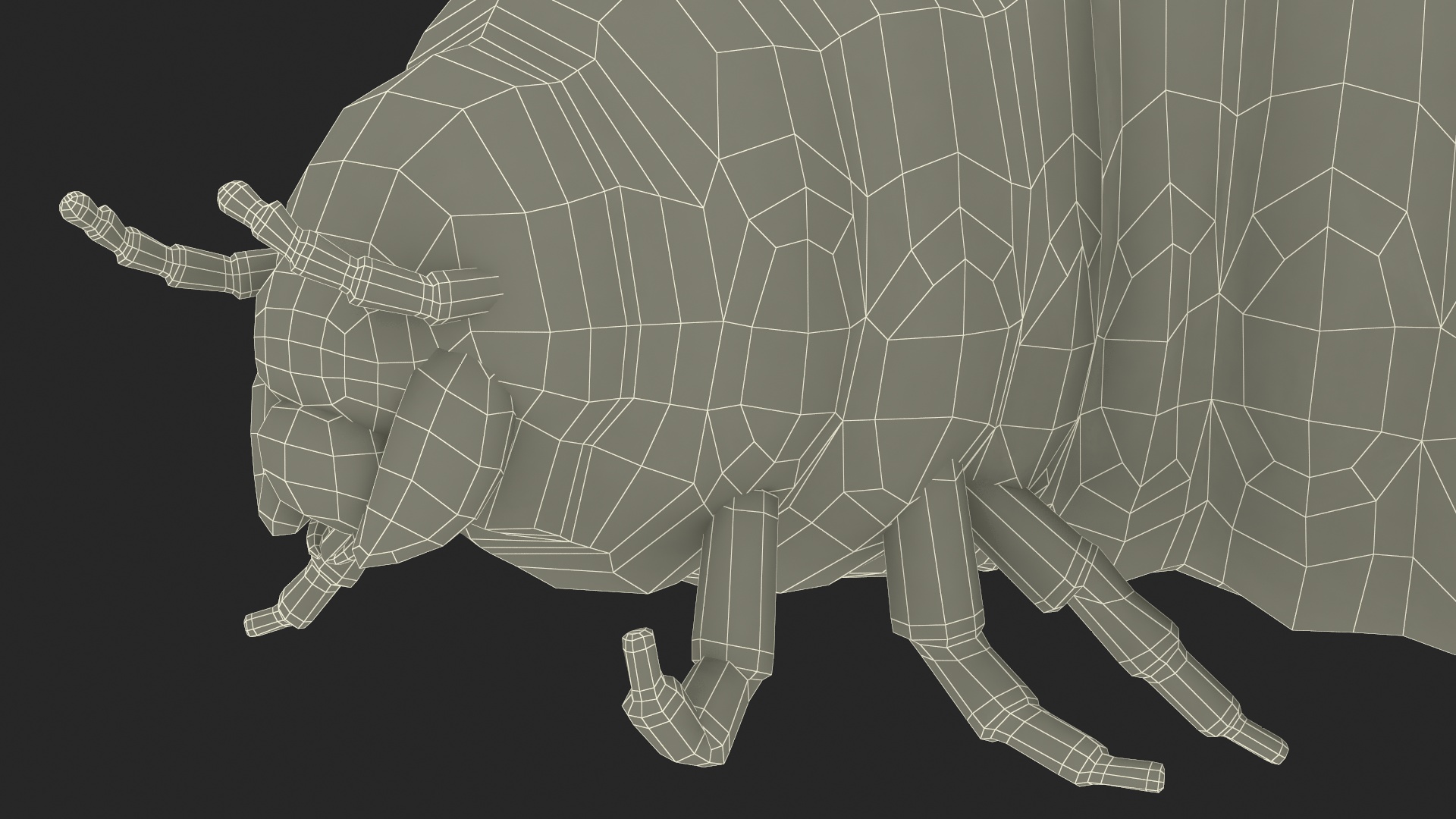 3D model Maggot May Bug Rigged Fur