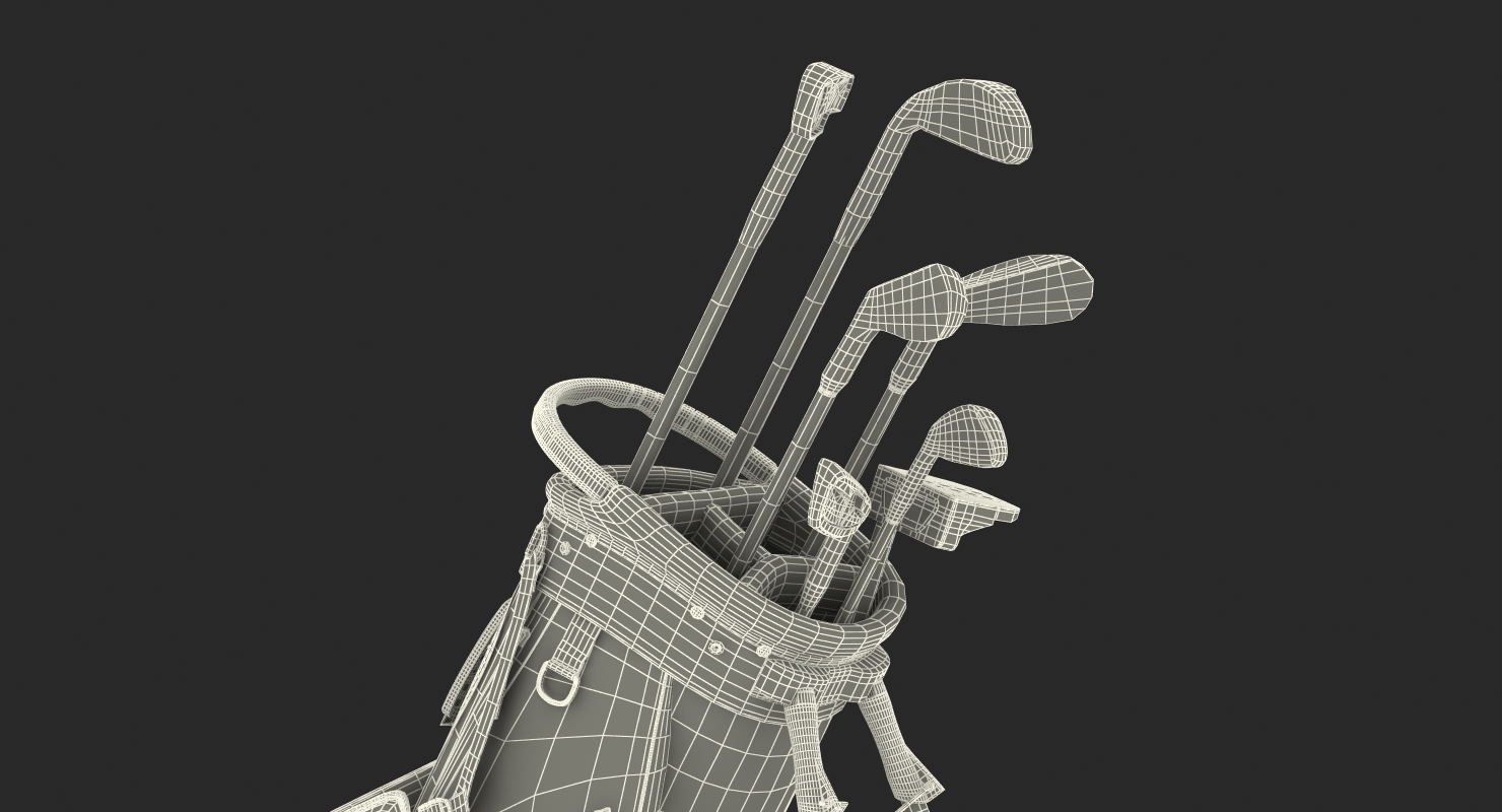 3D Golf Bag Seahawks with Clubs model