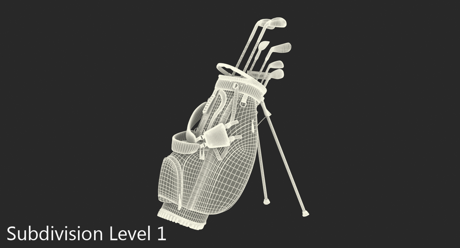 3D Golf Bag Seahawks with Clubs model