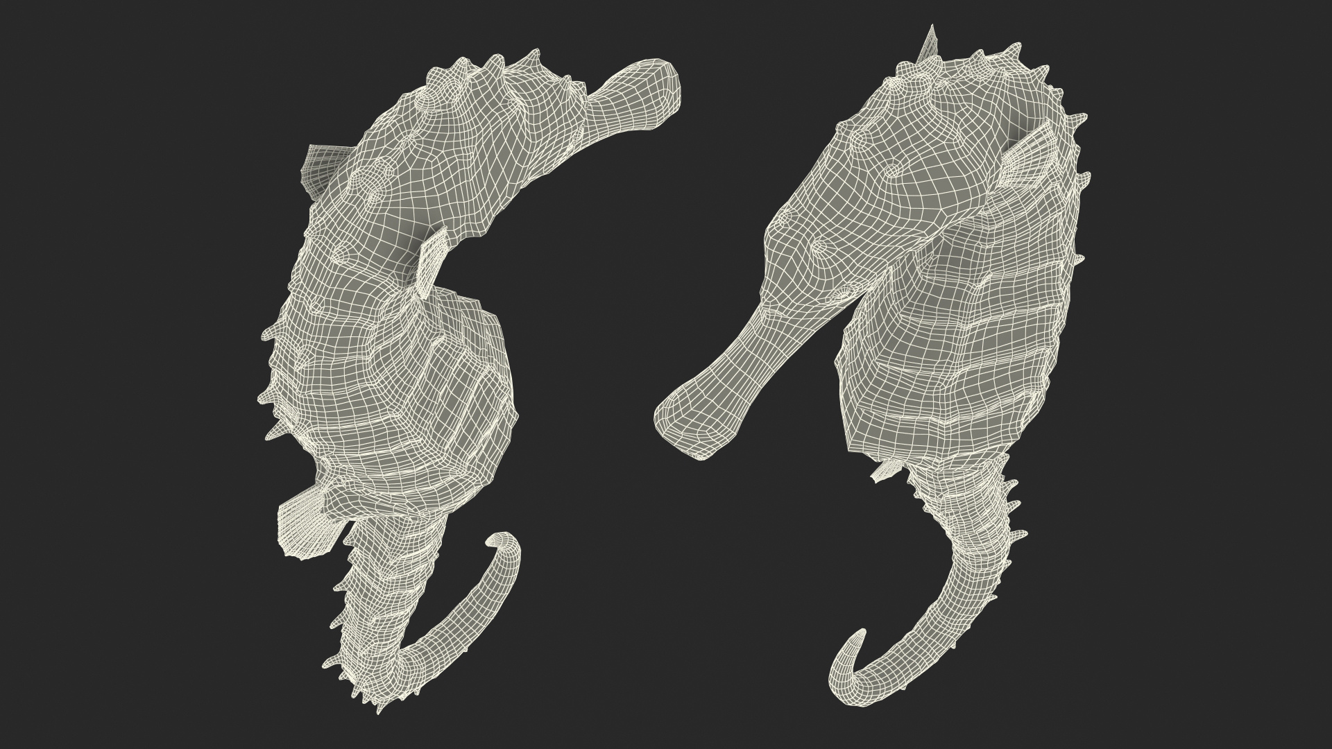 3D model Spotted Seahorse Hippocampus Kuda Rigged