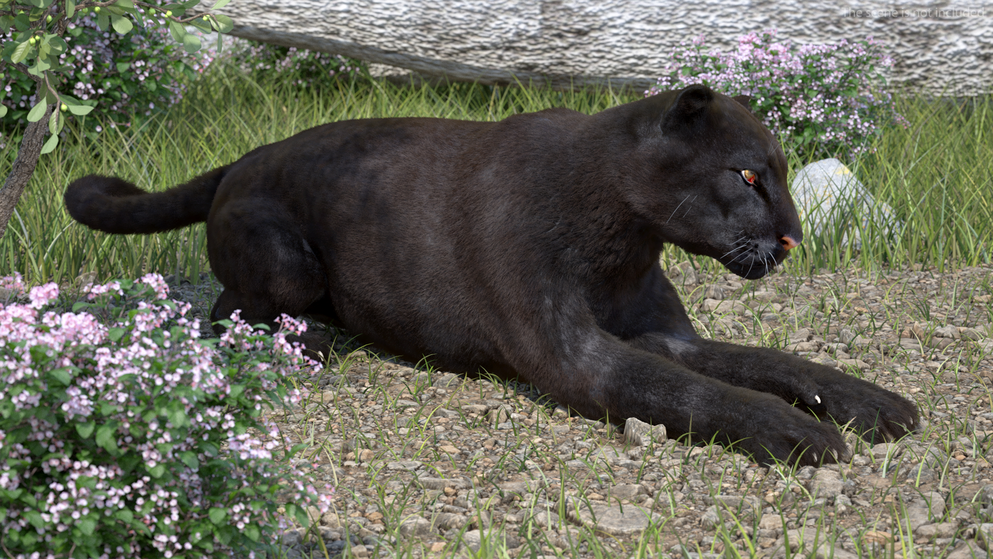 Black Panther Fur Rigged 3D model