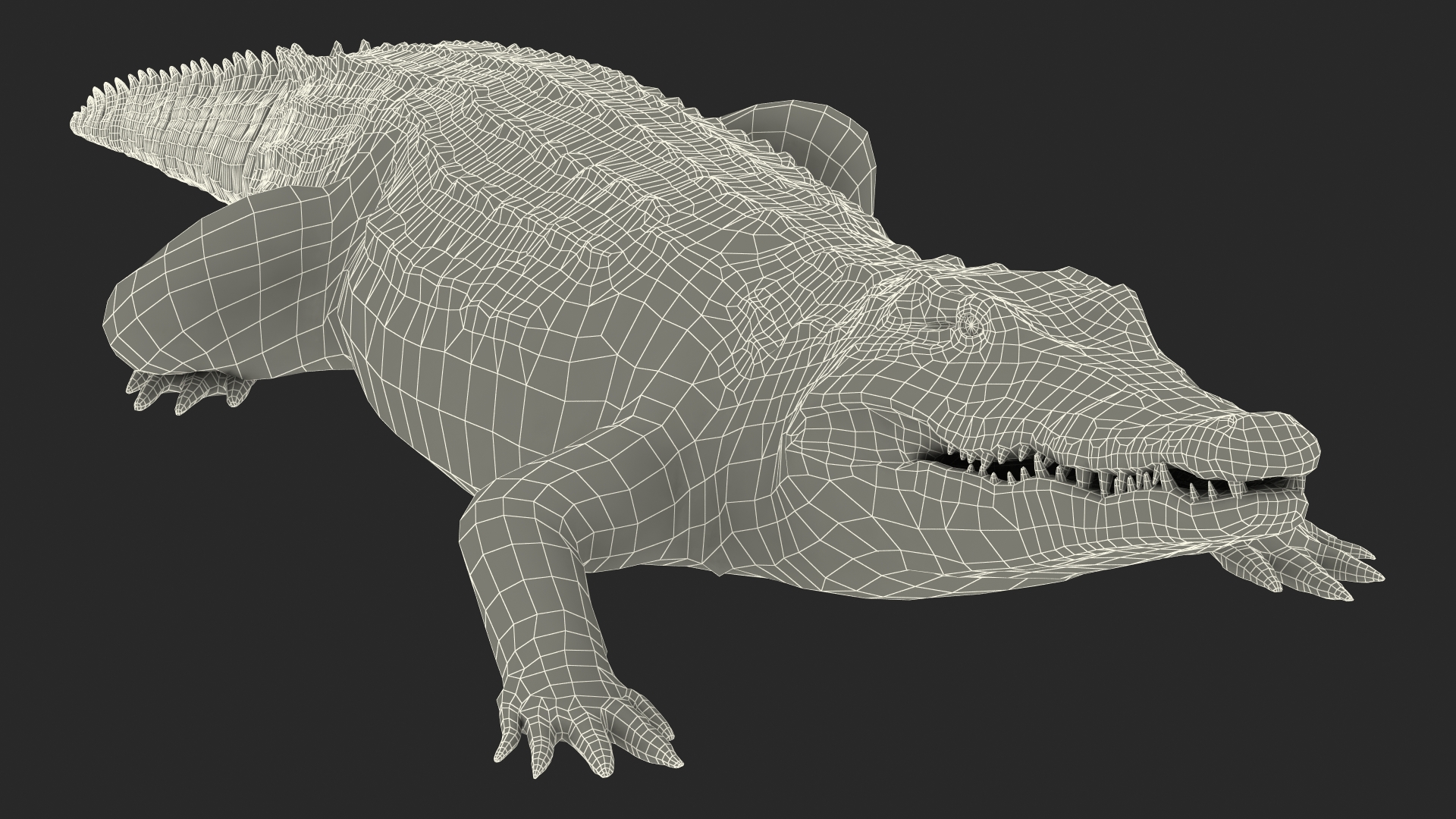 Animated Crocodile Attack Rigged 3D