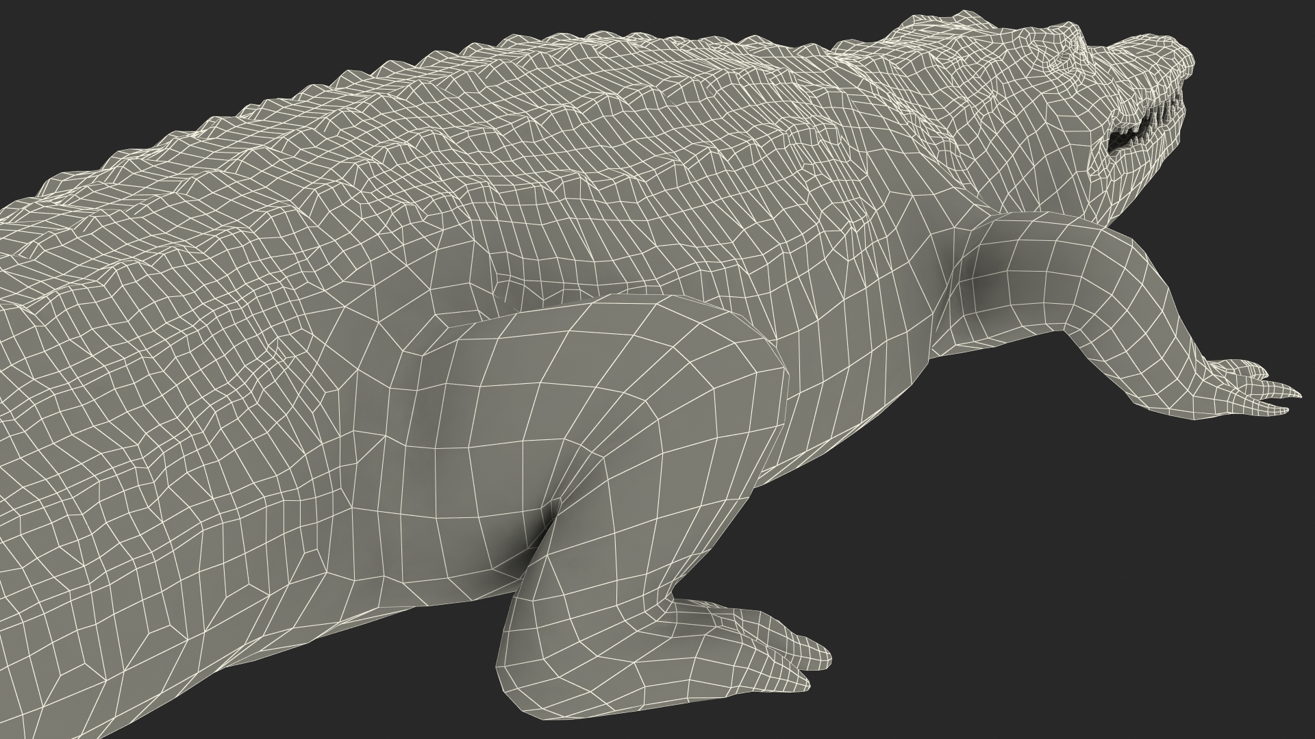 Animated Crocodile Attack Rigged 3D