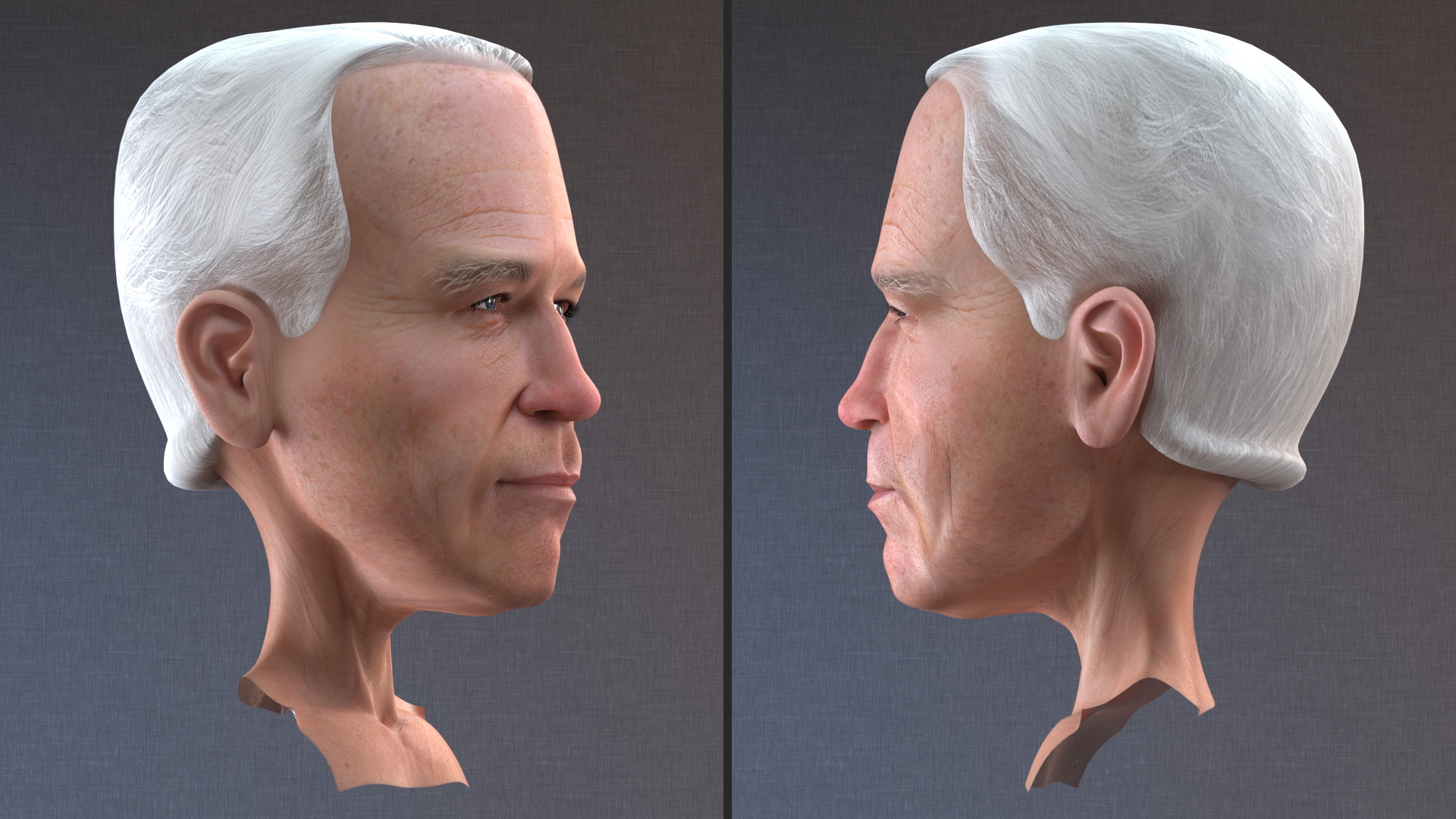 Cartoon Joe Biden Head 3D