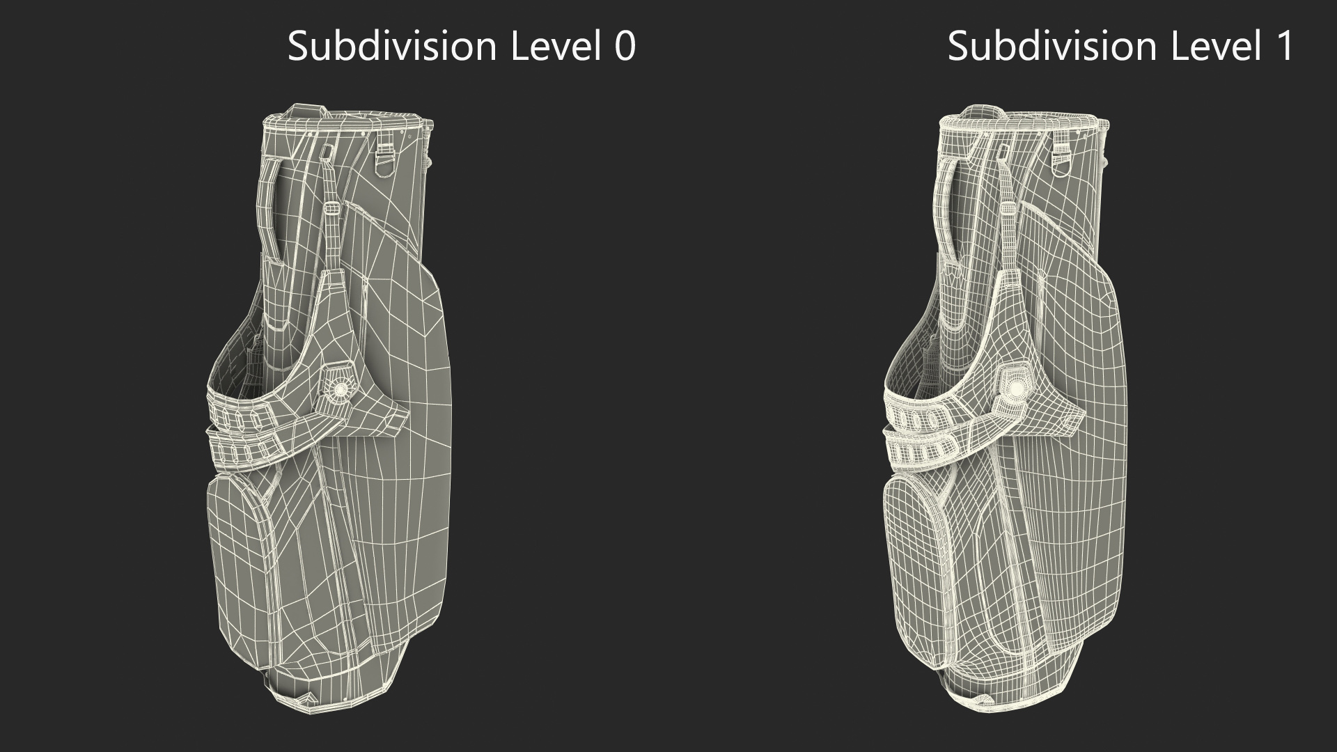 Golf Bag Nike with Stand 3D model