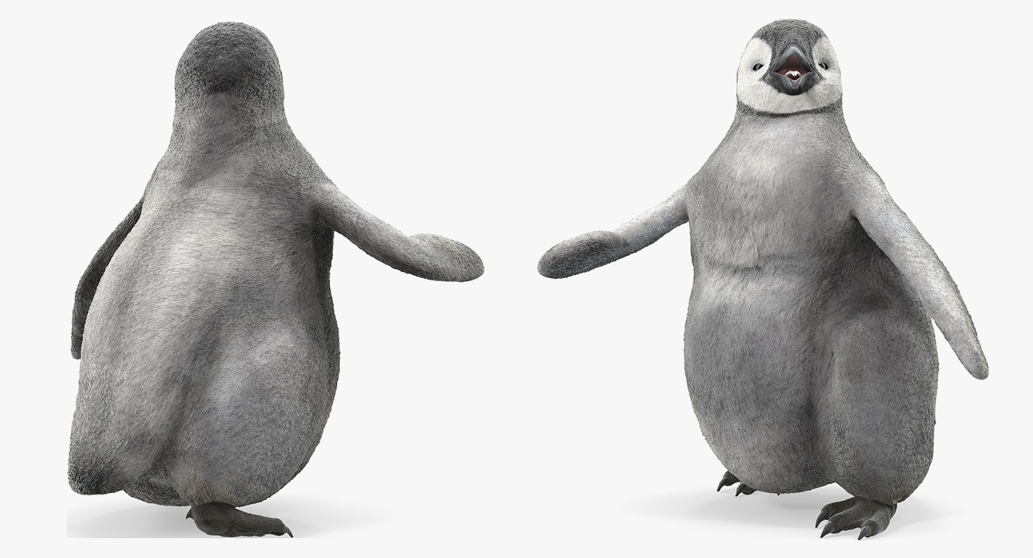 3D model Penguin Baby Walking Pose