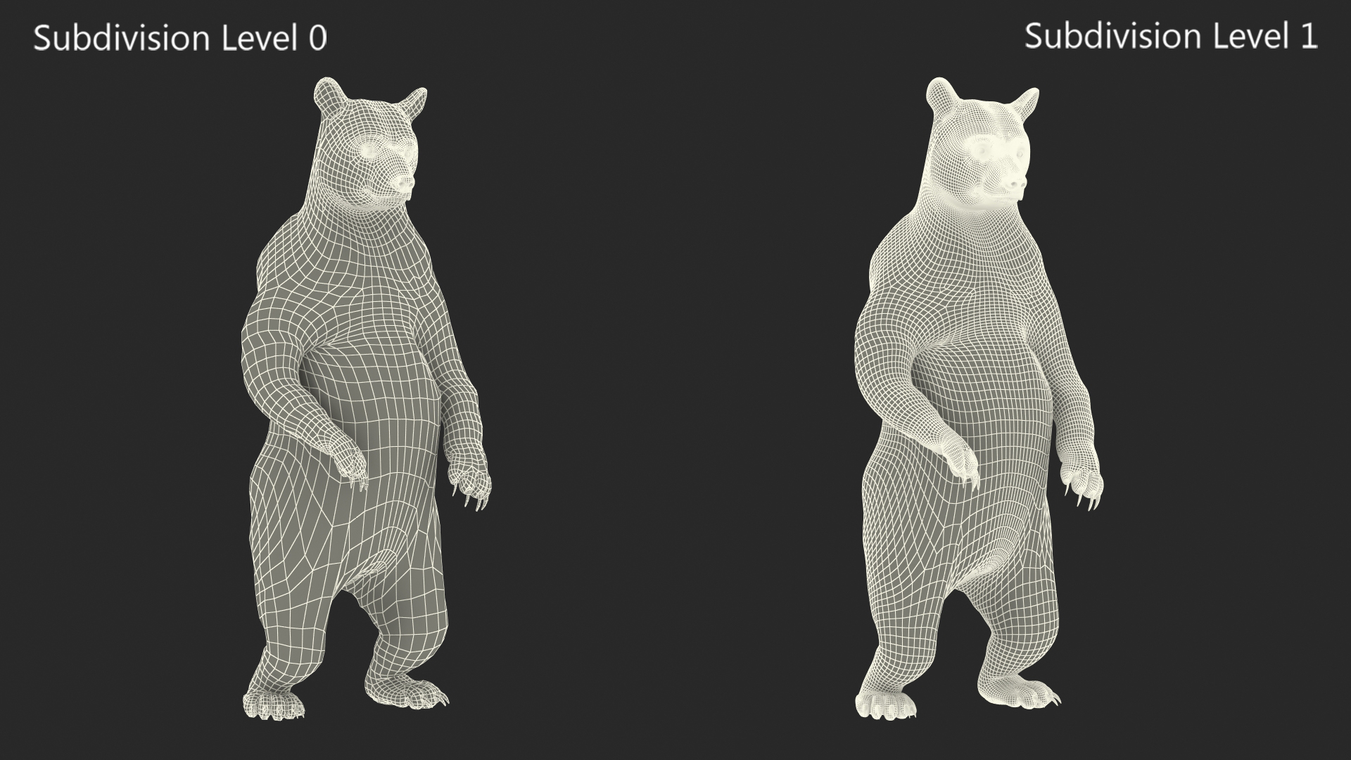 Standing Black Bear 3D model