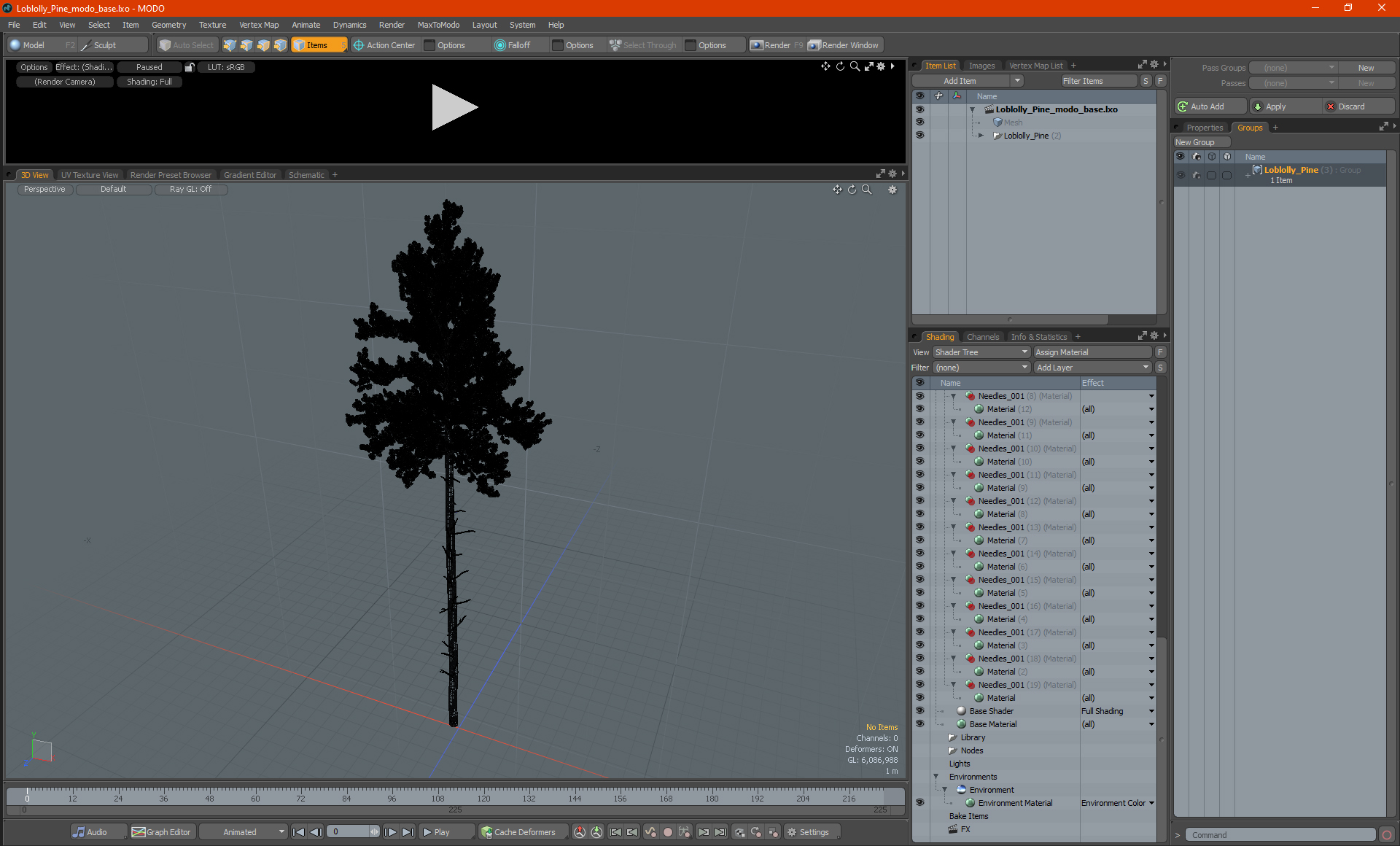 3D Loblolly Pine model