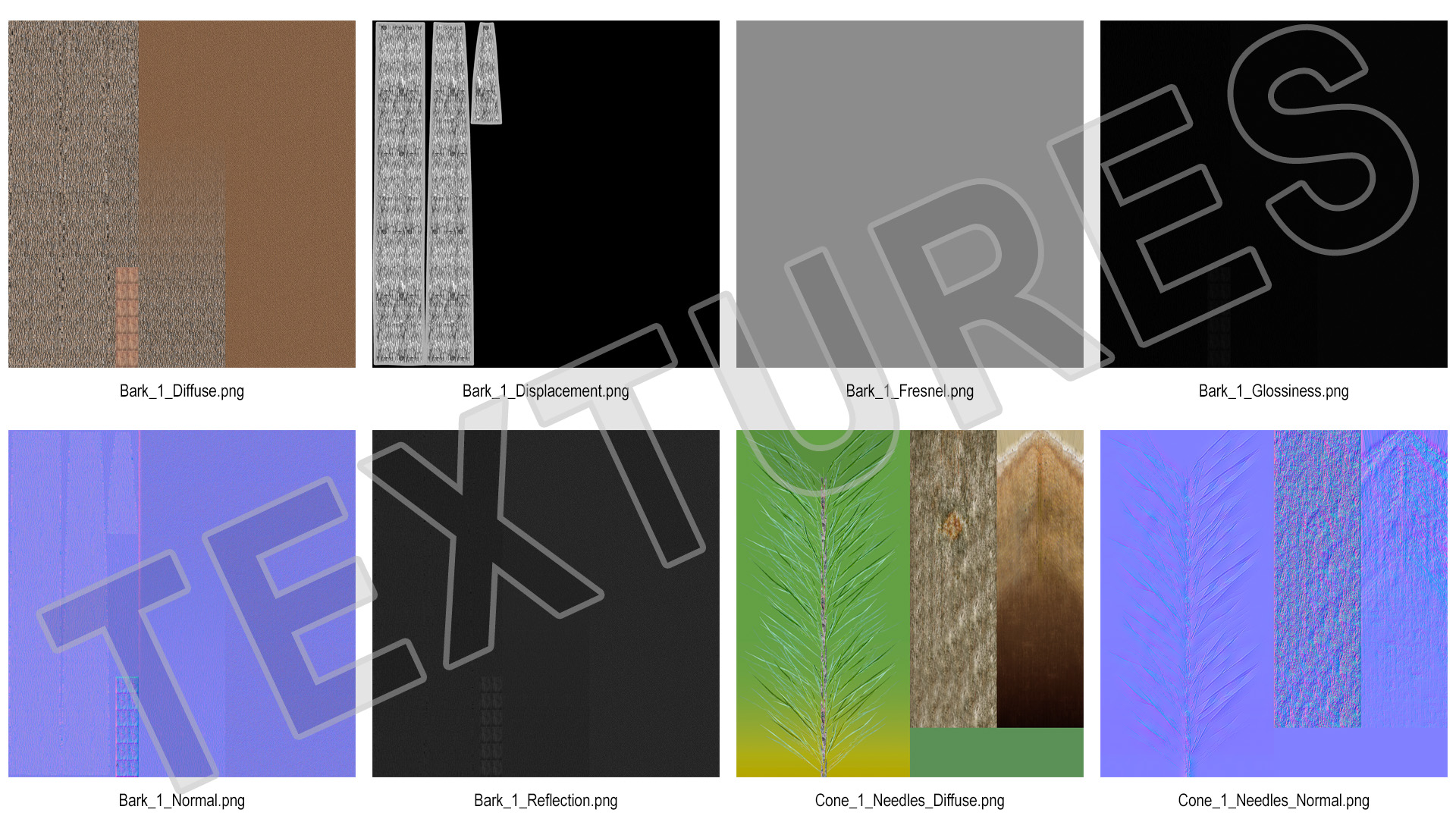 3D Loblolly Pine model