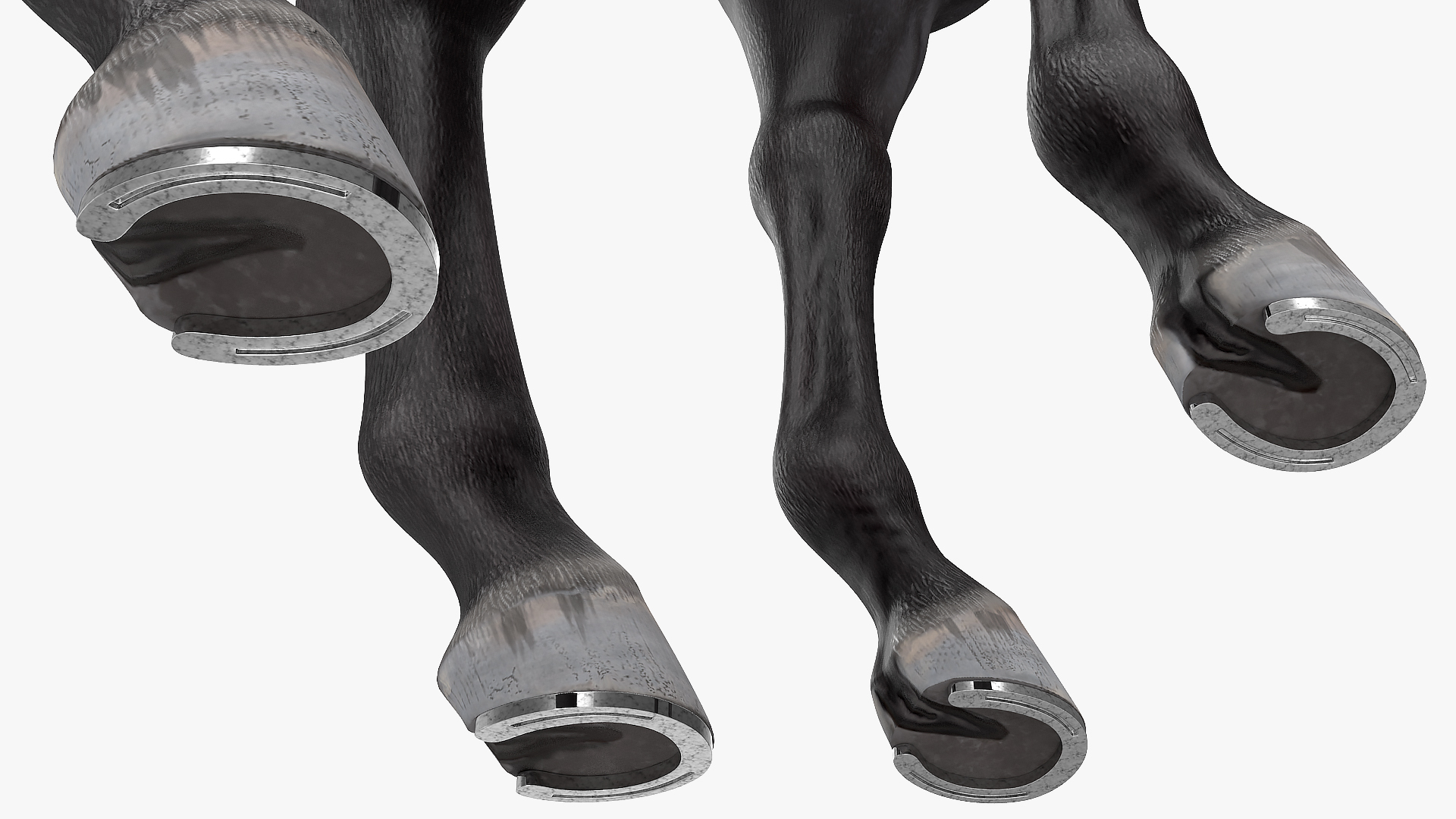 3D Black Racehorse Fur Rigged