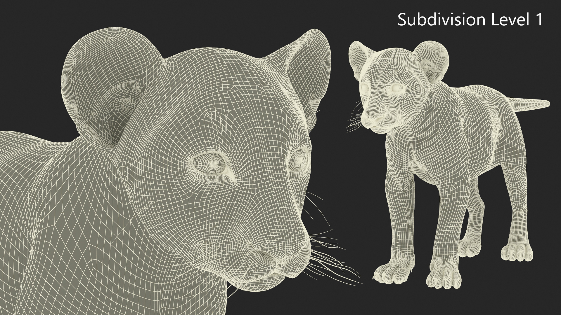 Lion Cub Fur 3D