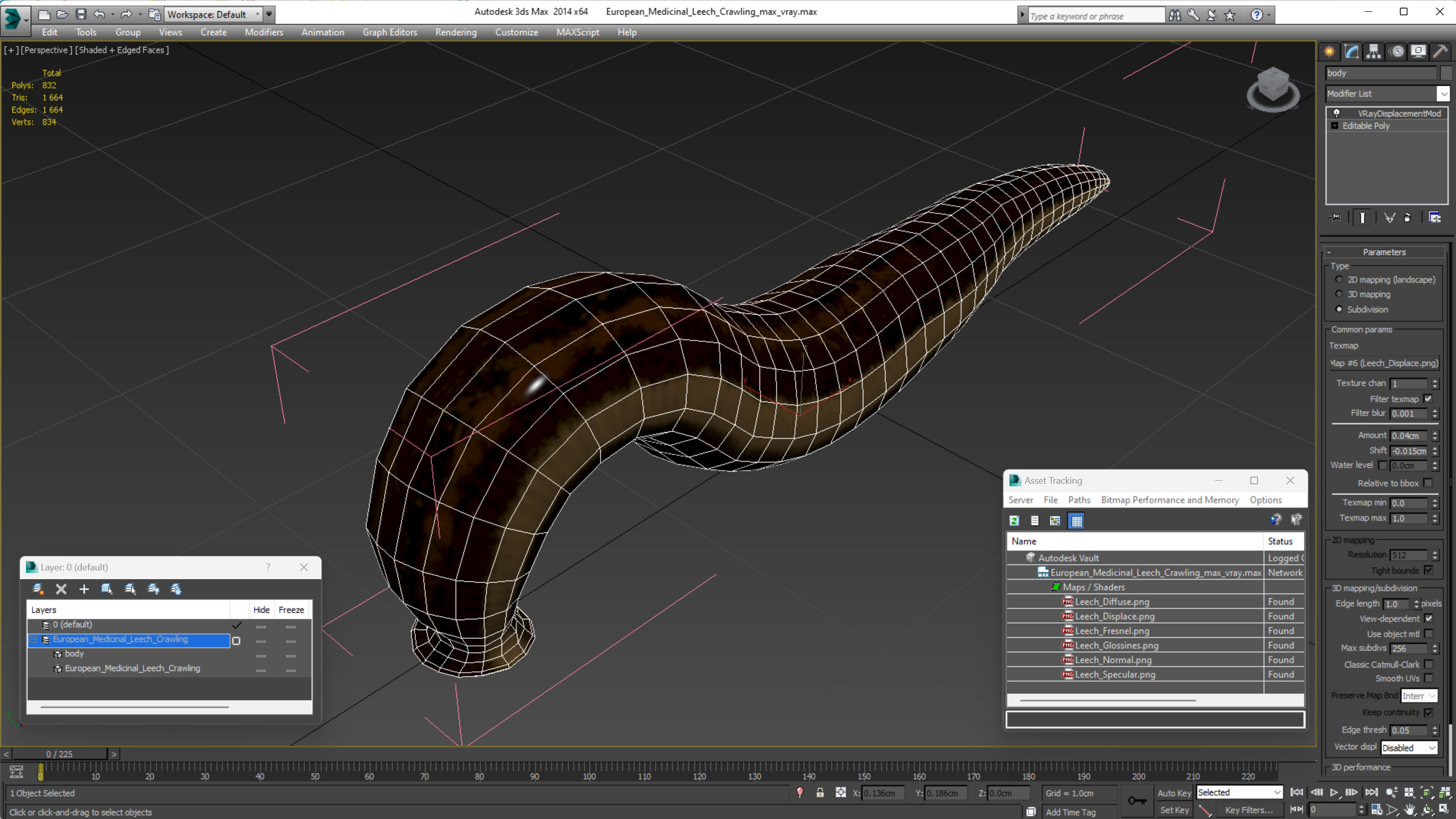 3D European Medicinal Leech Crawling model